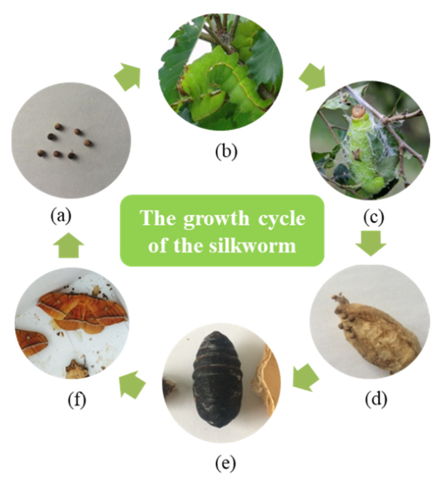 Polymers 14 03072 g001