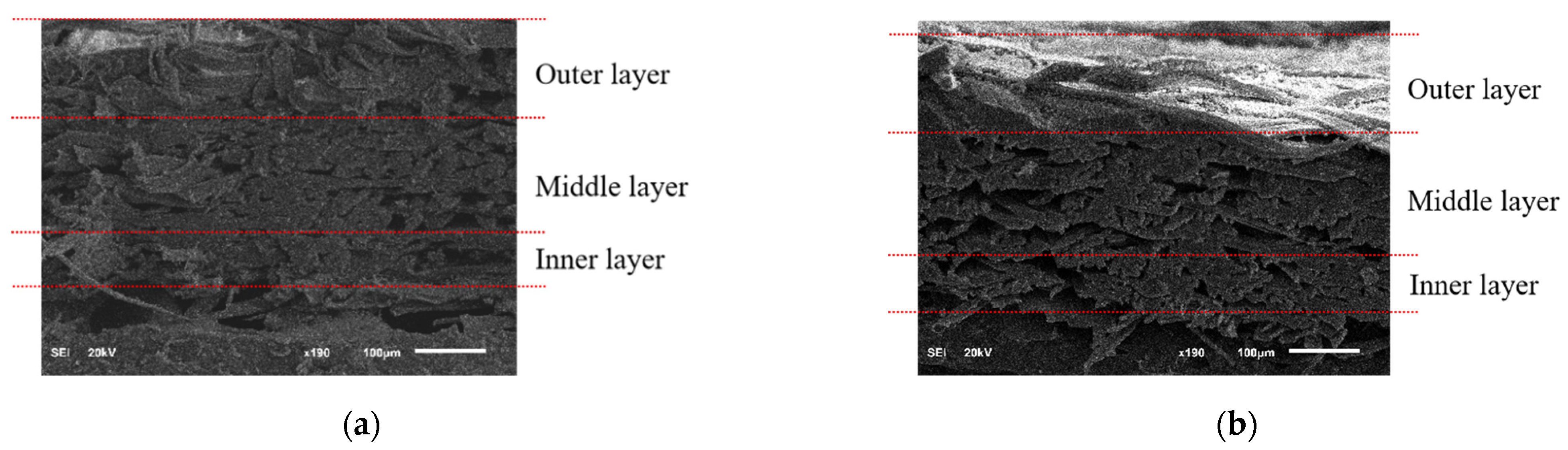 Polymers 14 03072 g008