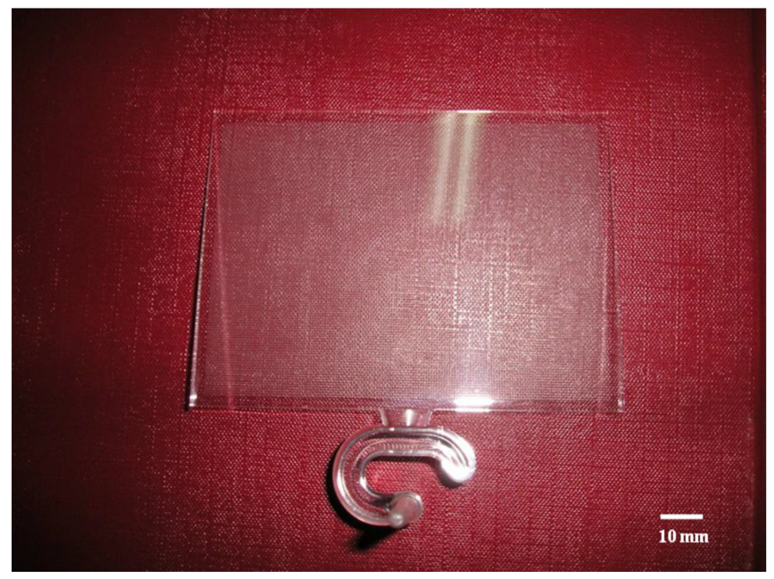 Polymers 14 03077 g009