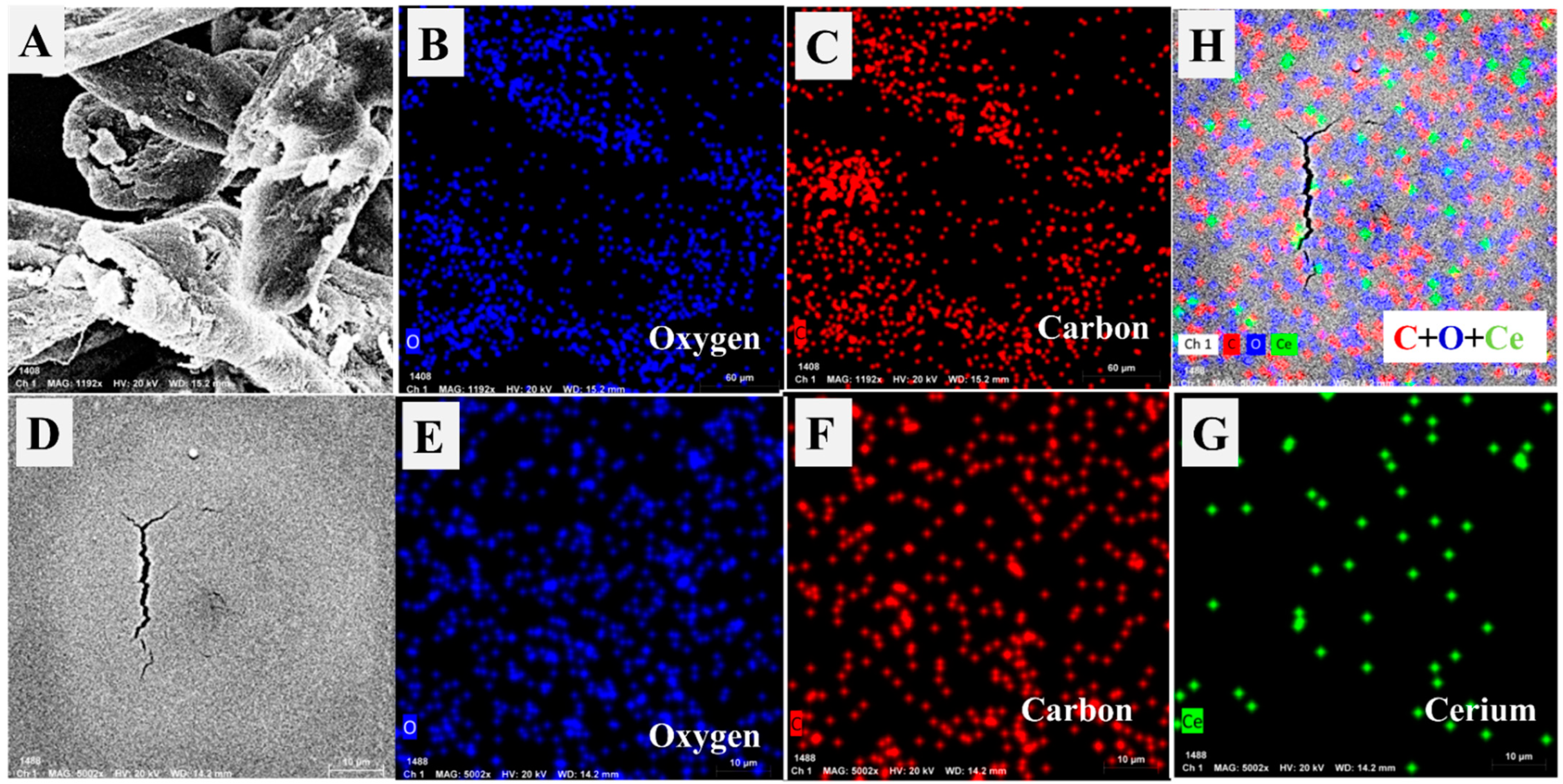 Polymers 14 03078 g003