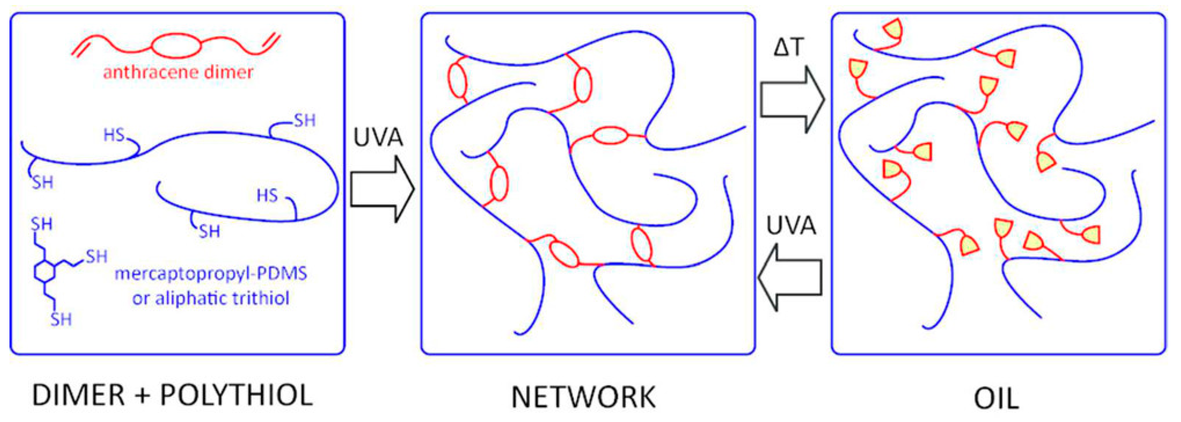 Polymers 14 03079 g035 550