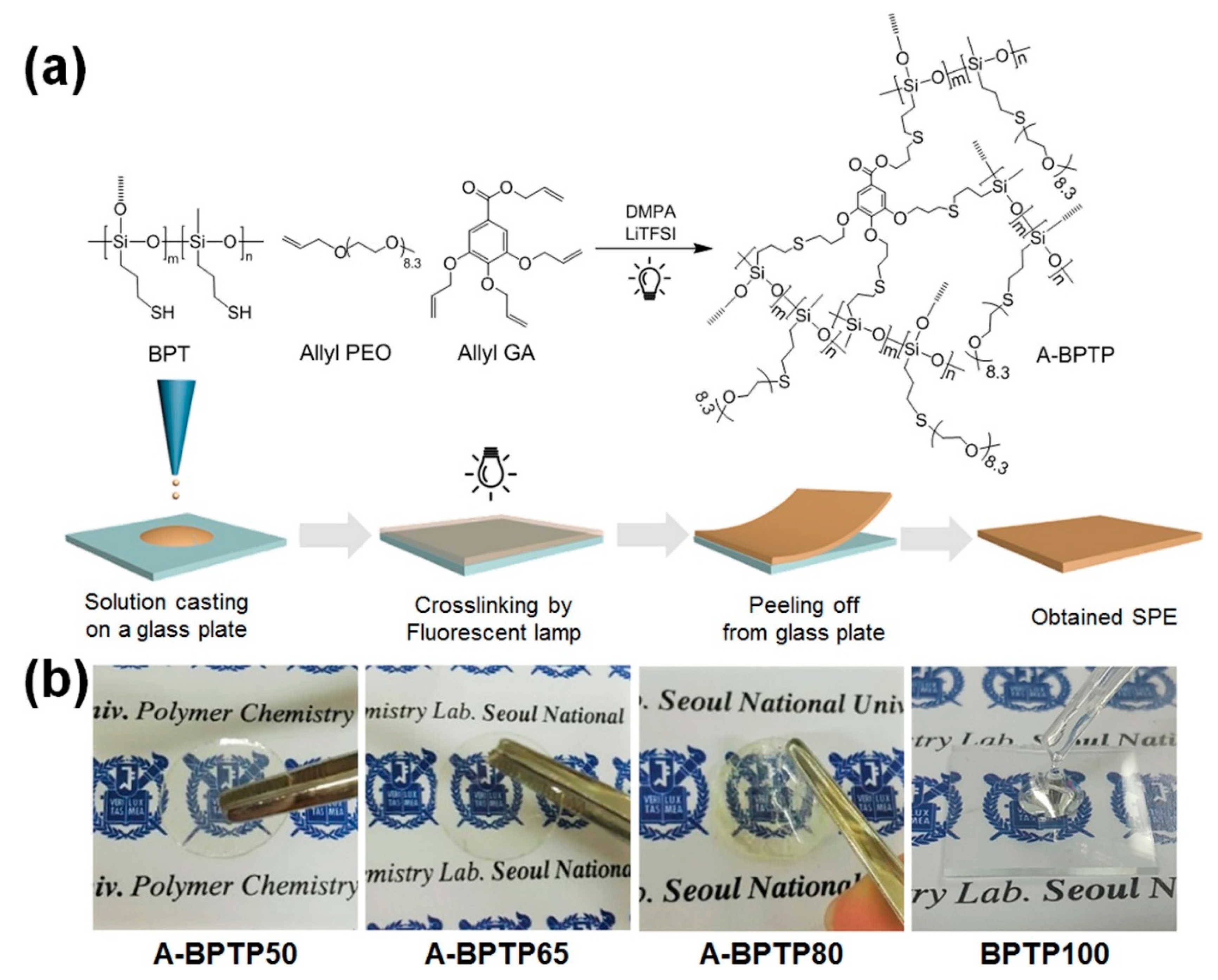 Polymers 14 03079 g040 550