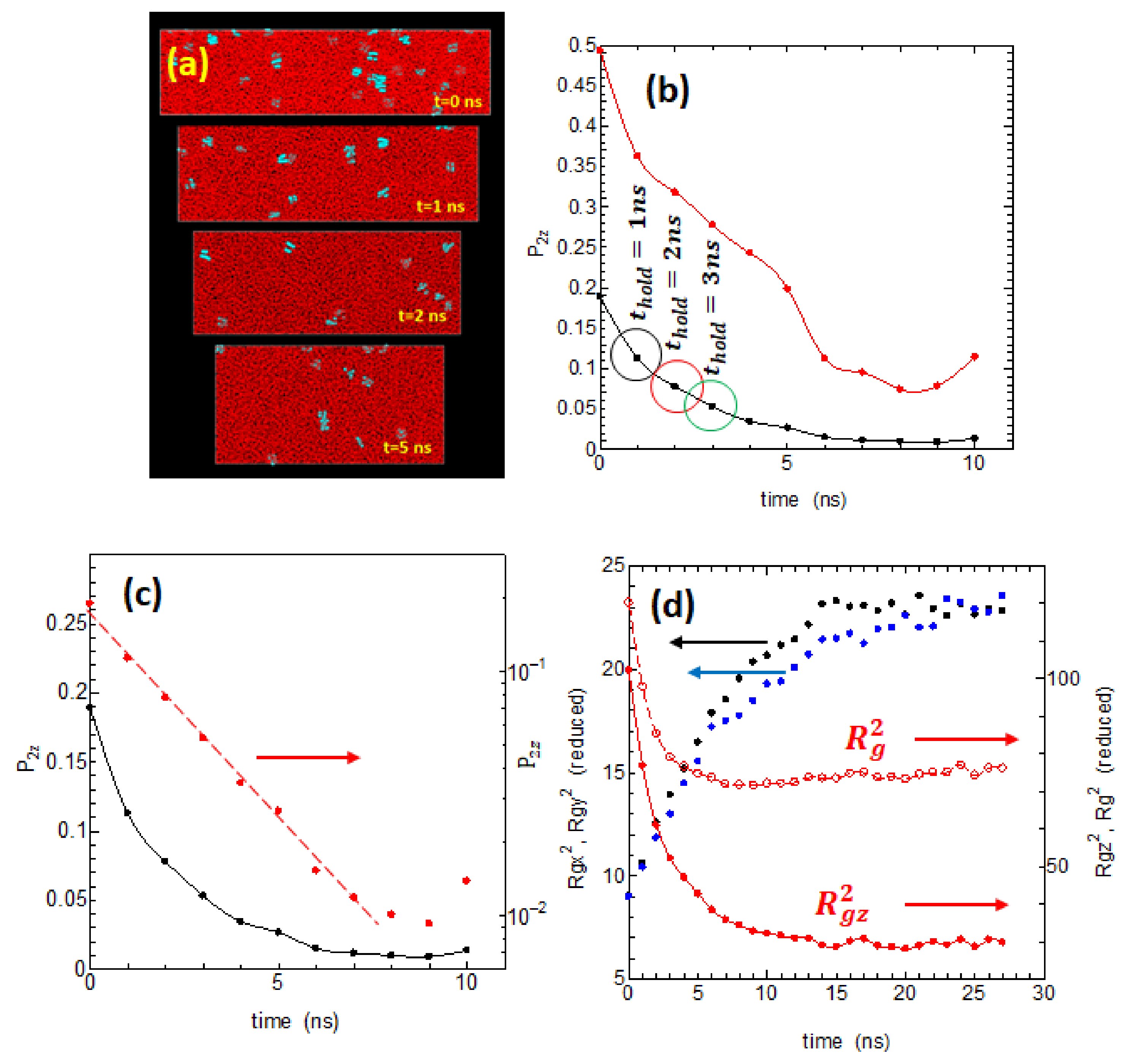 Polymers 14 03082 g002 550