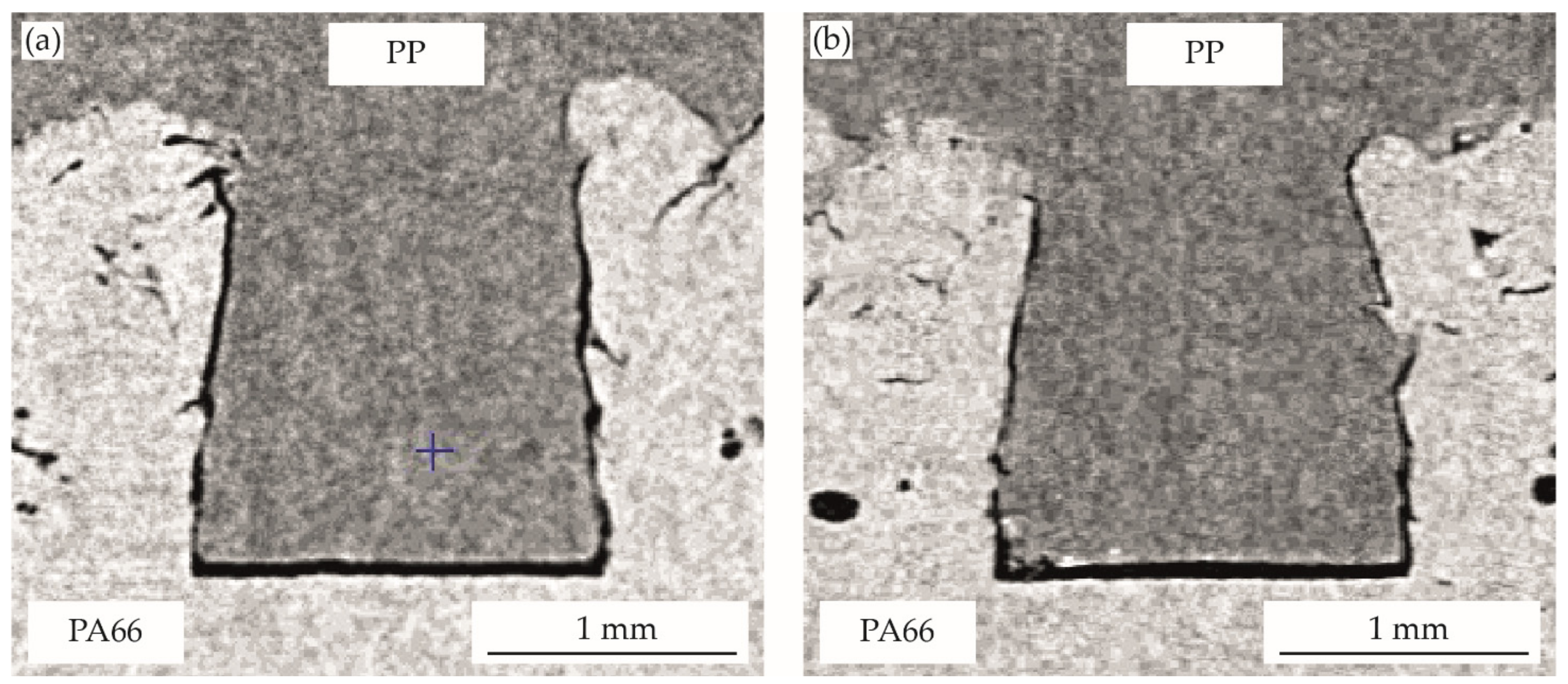 Polymers 14 03083 g007 550