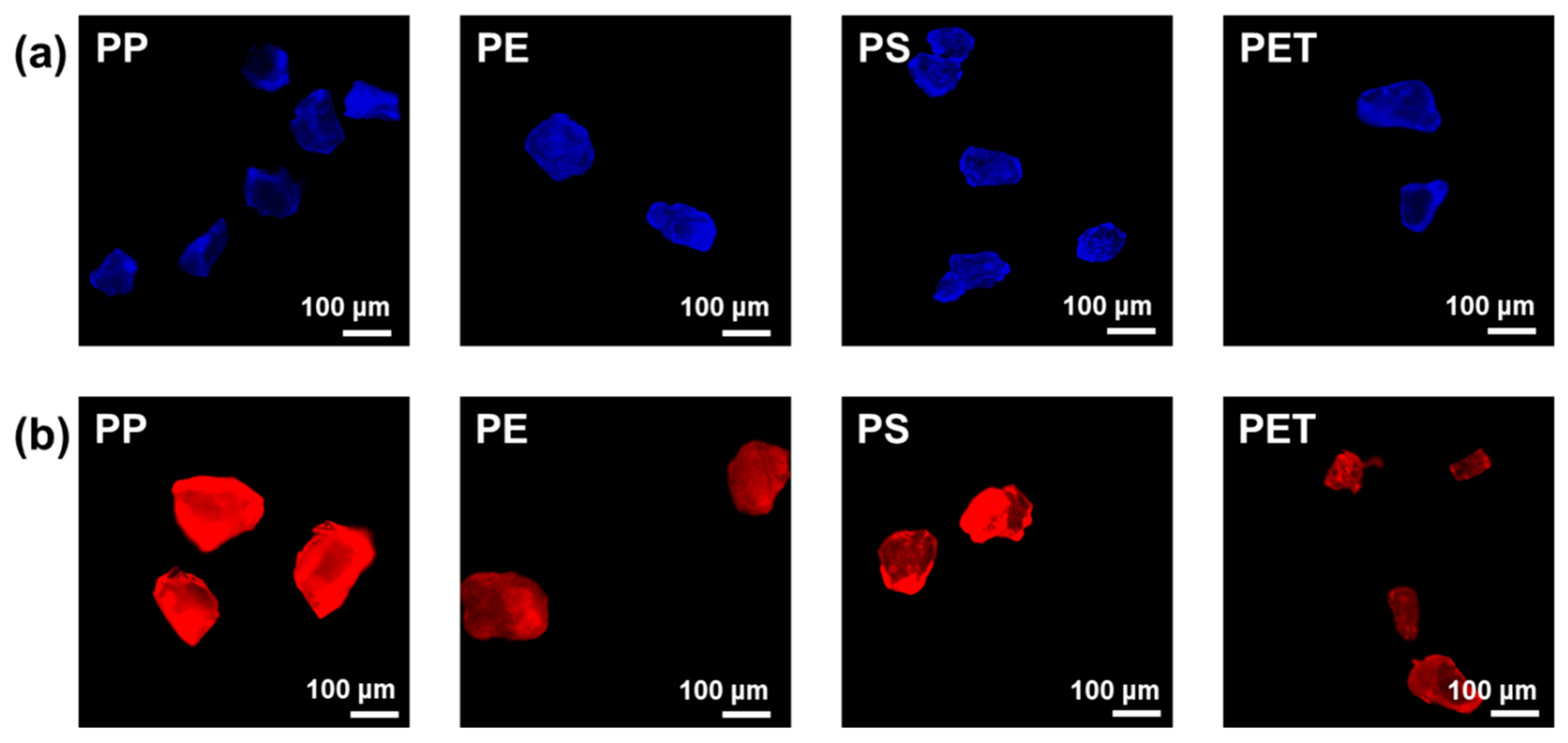 Polymers 14 03084 g003 550