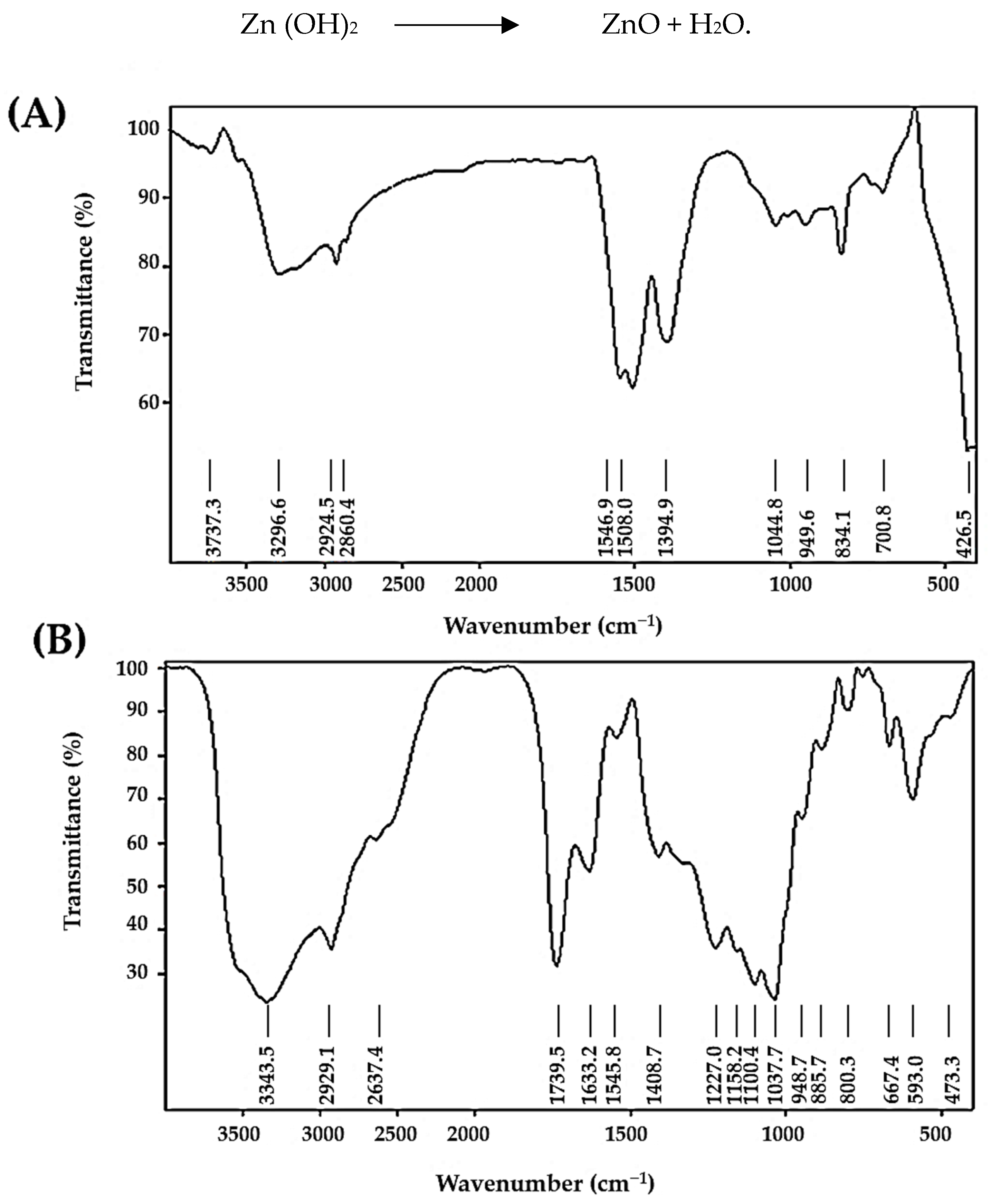 Polymers 14 03086 g001 Polymers 14 03086 g001