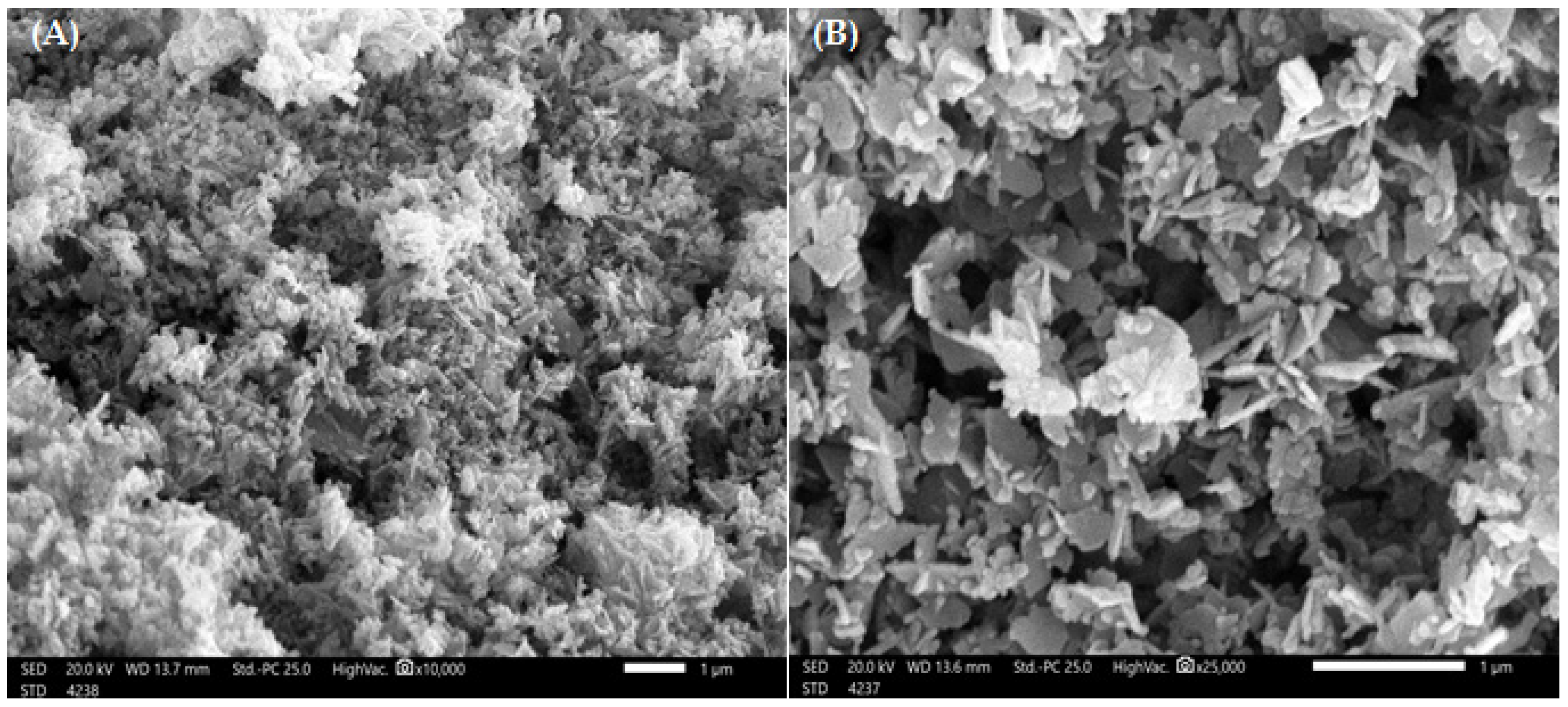 Polymers 14 03086 g003 Polymers 14 03086 g003