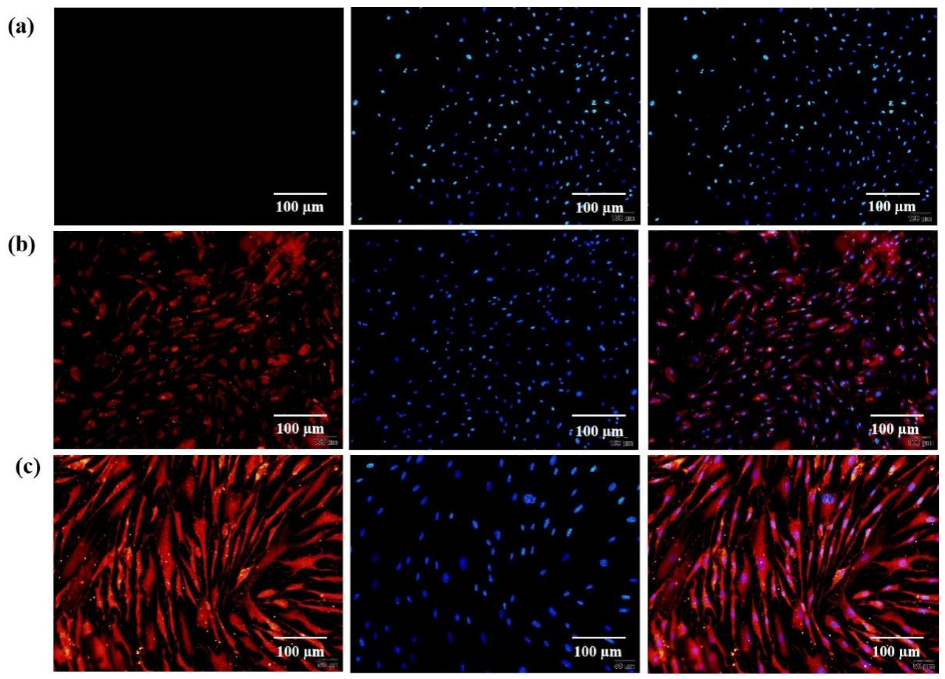 Polymers 14 03089 g004 550