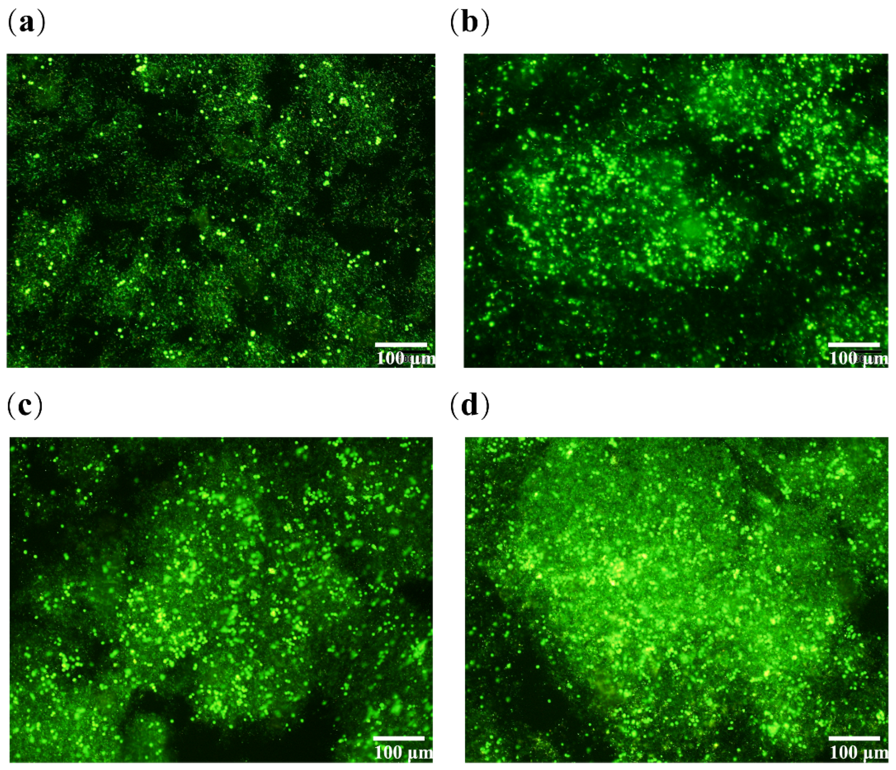 Polymers 14 03089 g005 550