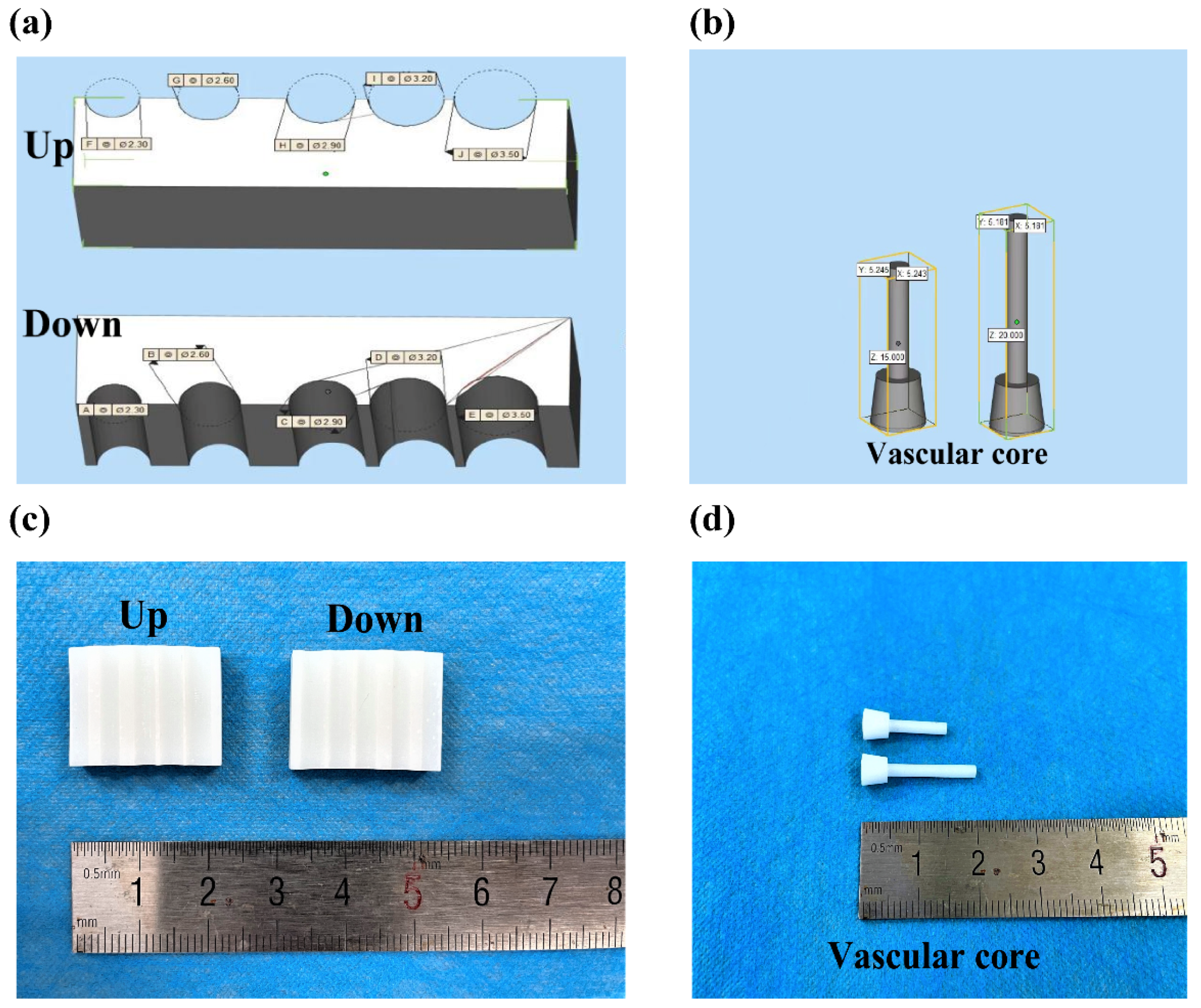 Polymers 14 03089 g012 550