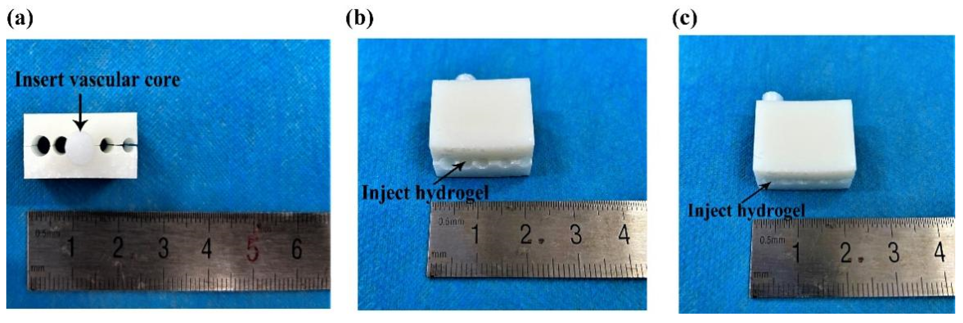 Polymers 14 03089 g013 550
