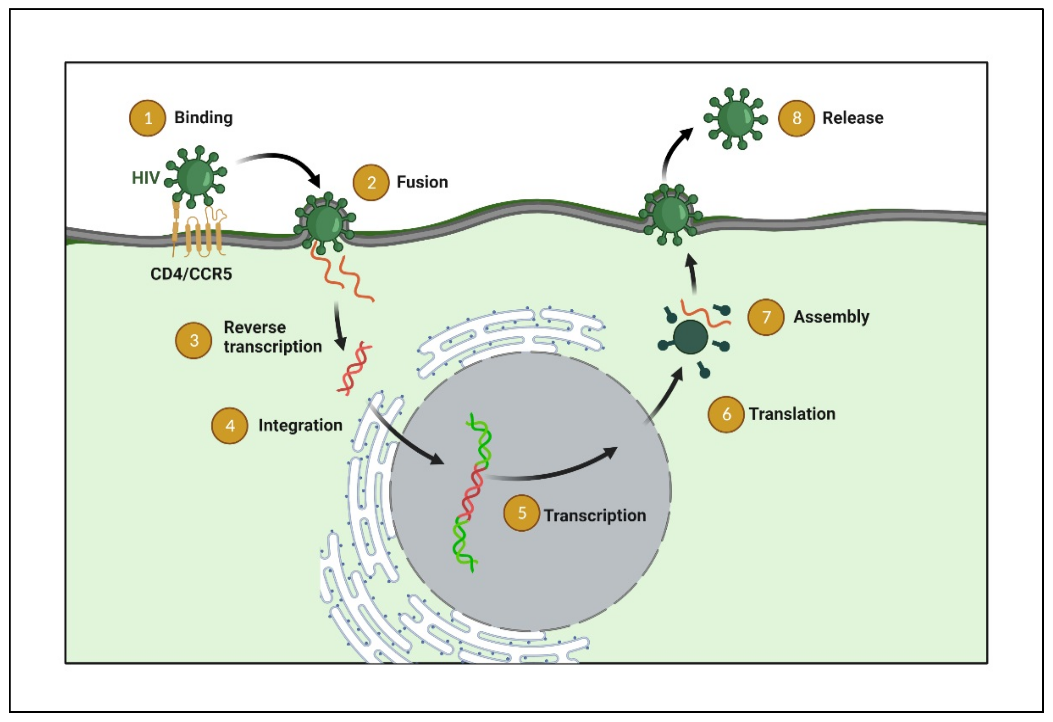 Polymers 14 03090 g002