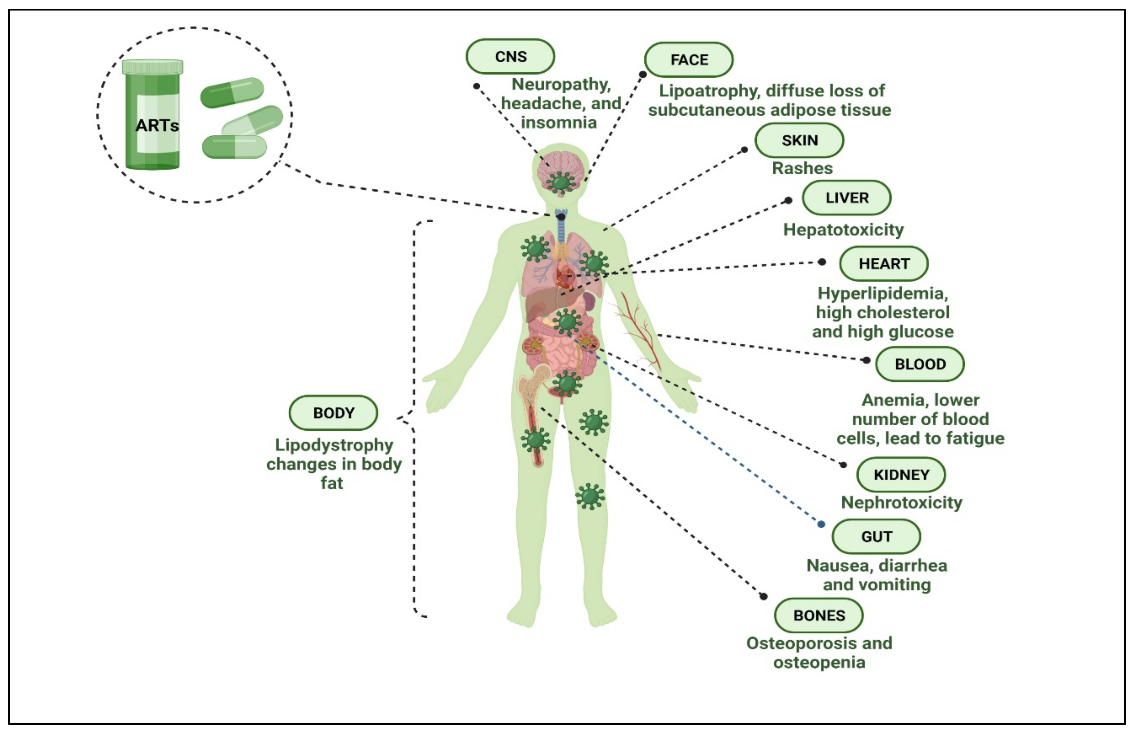Polymers 14 03090 g004
