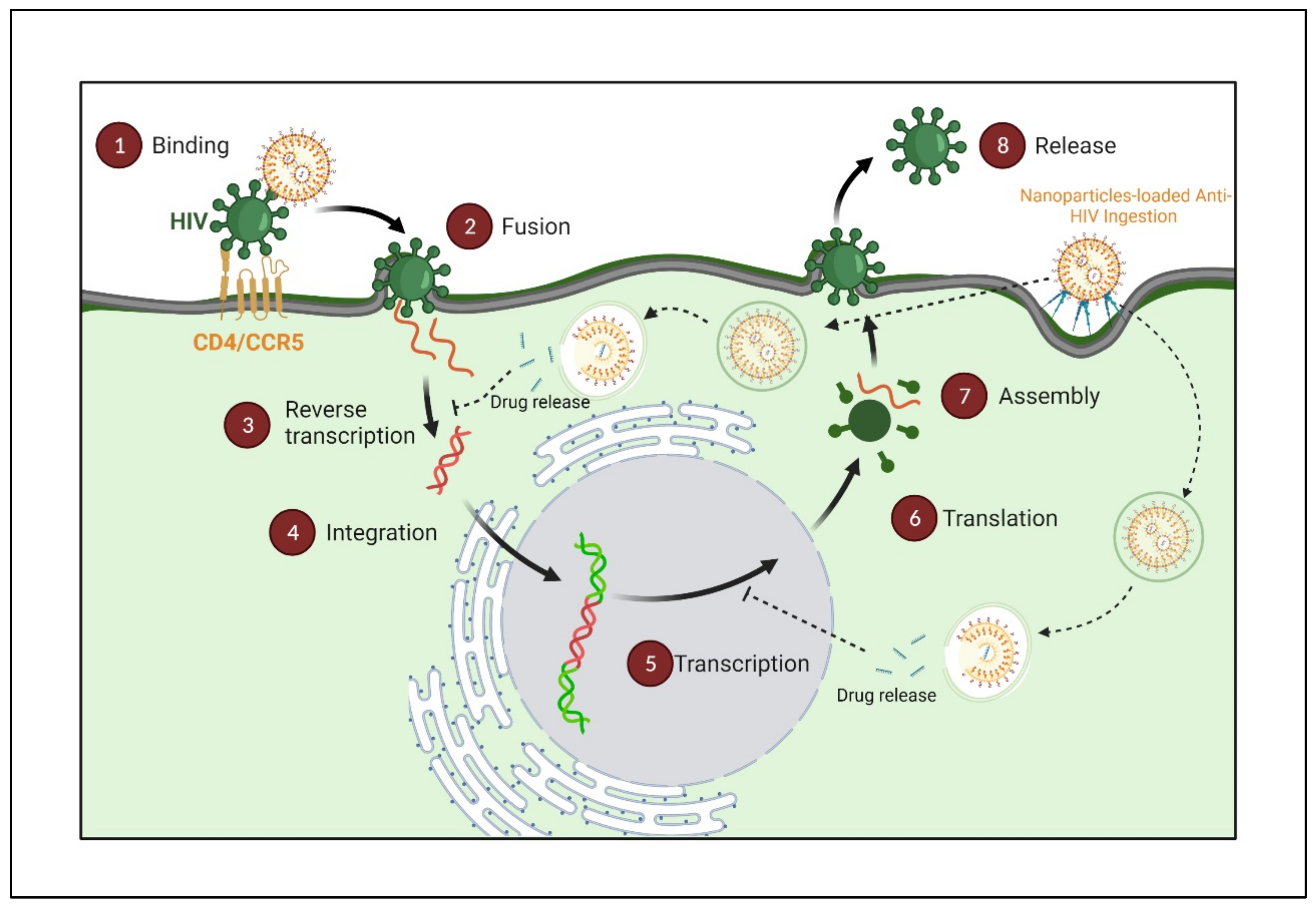 Polymers 14 03090 g005