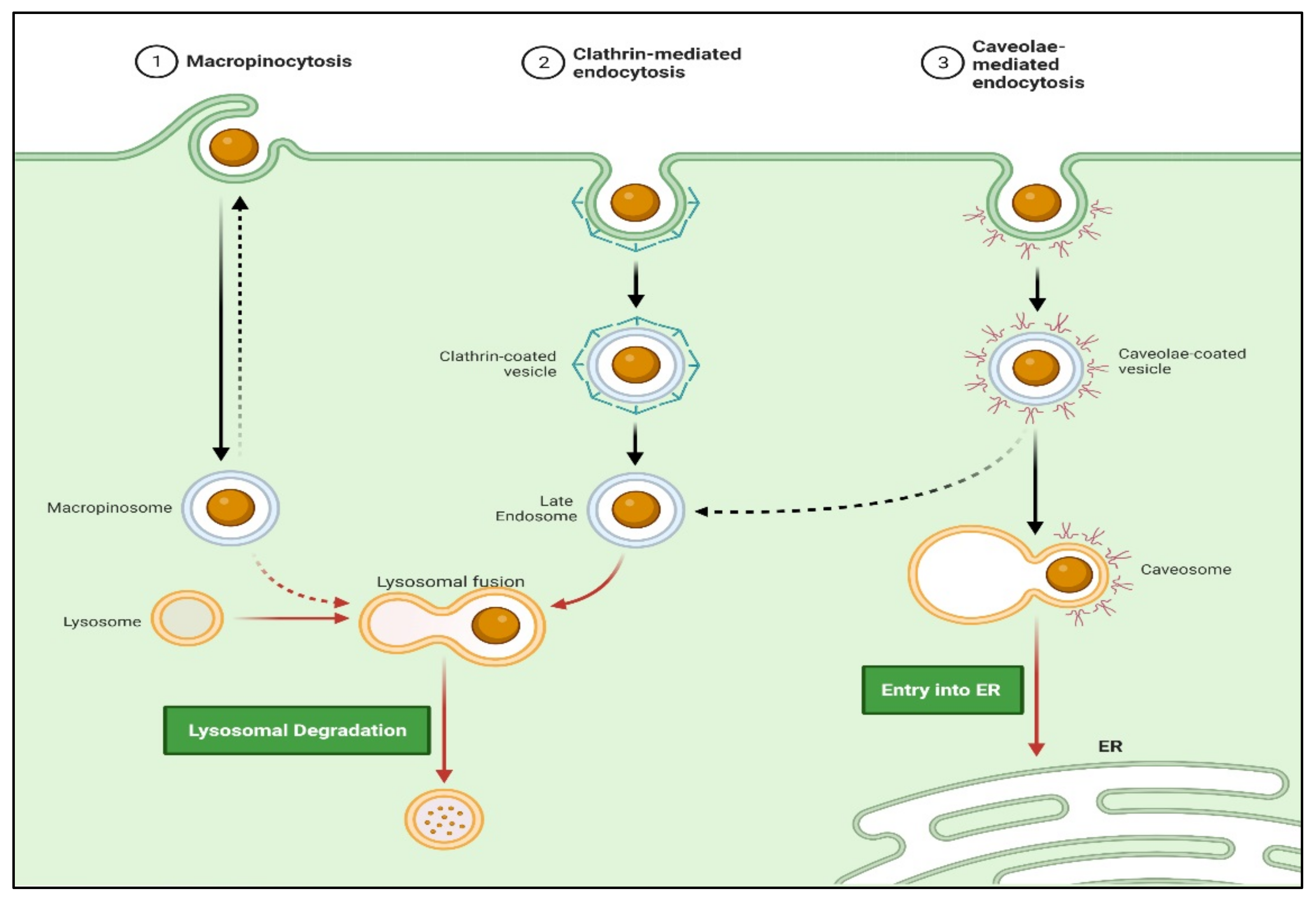Polymers 14 03090 g006