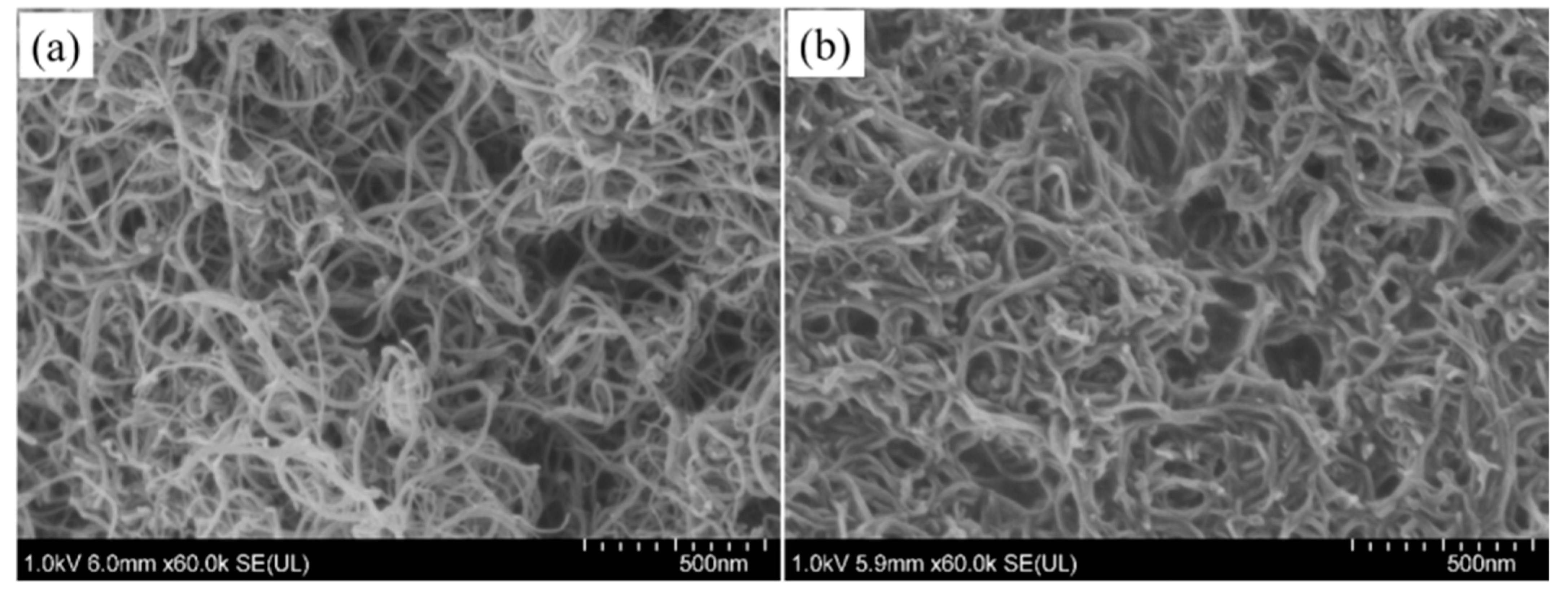 Polymers 14 03091 g004 550