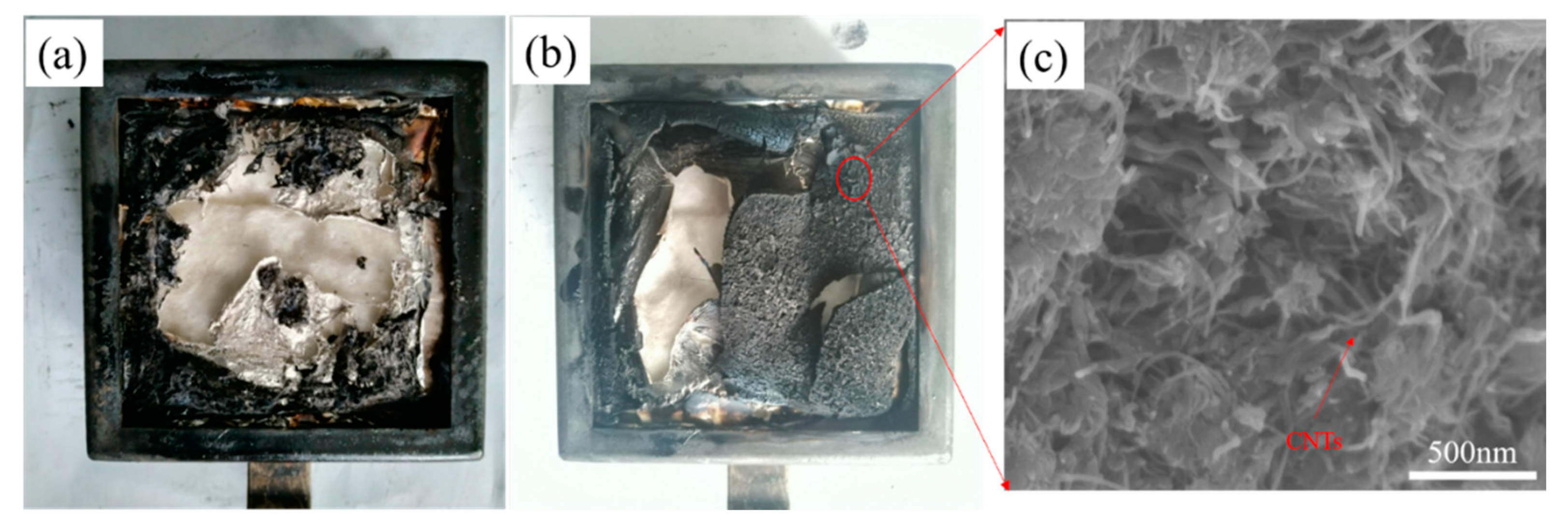 Polymers 14 03091 g009 550