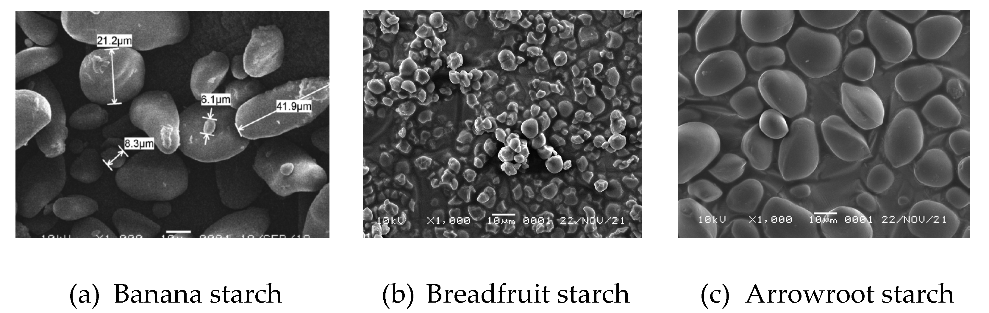 Polymers 14 03092 g001