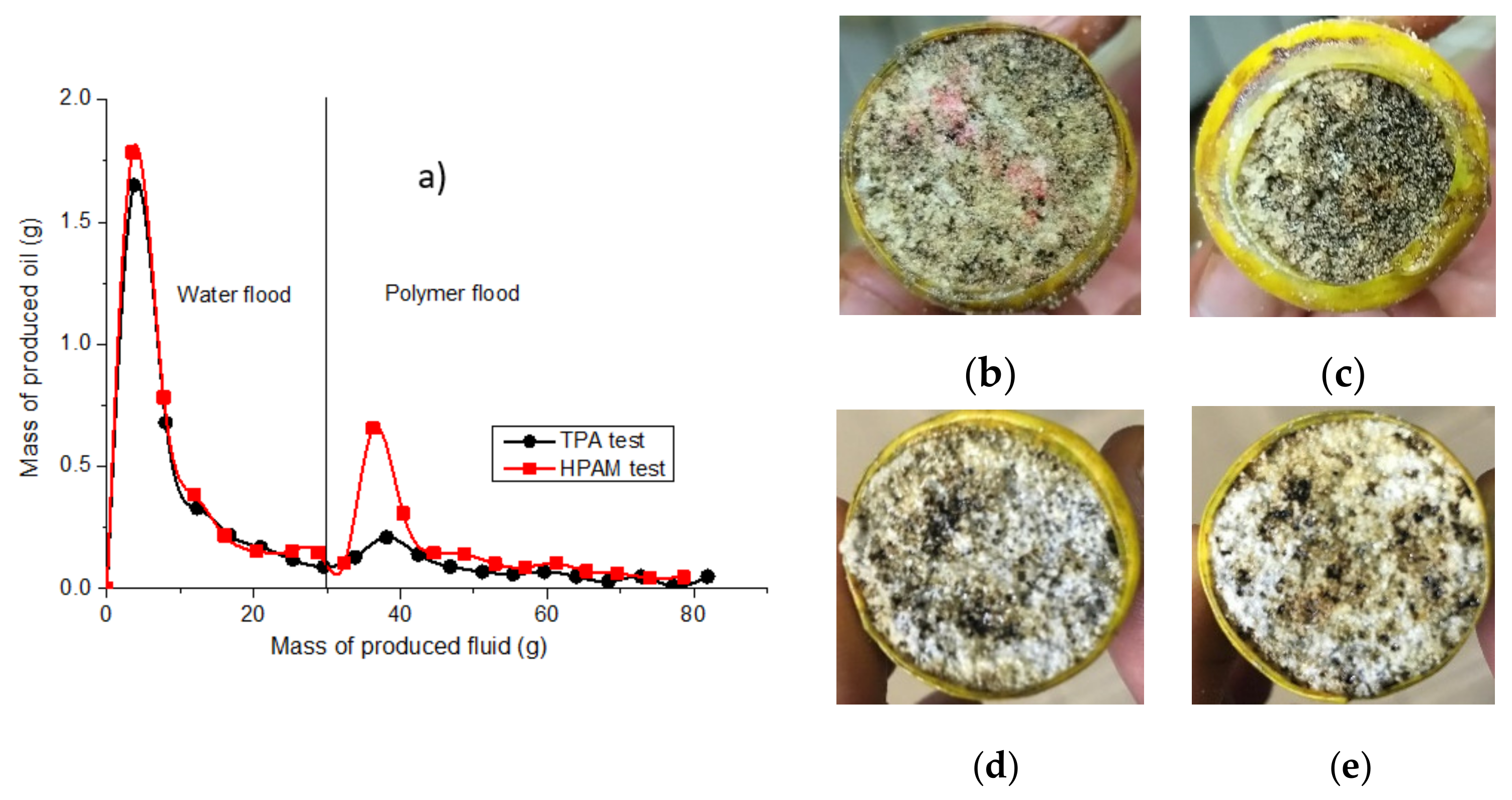 Polymers 14 03095 g010