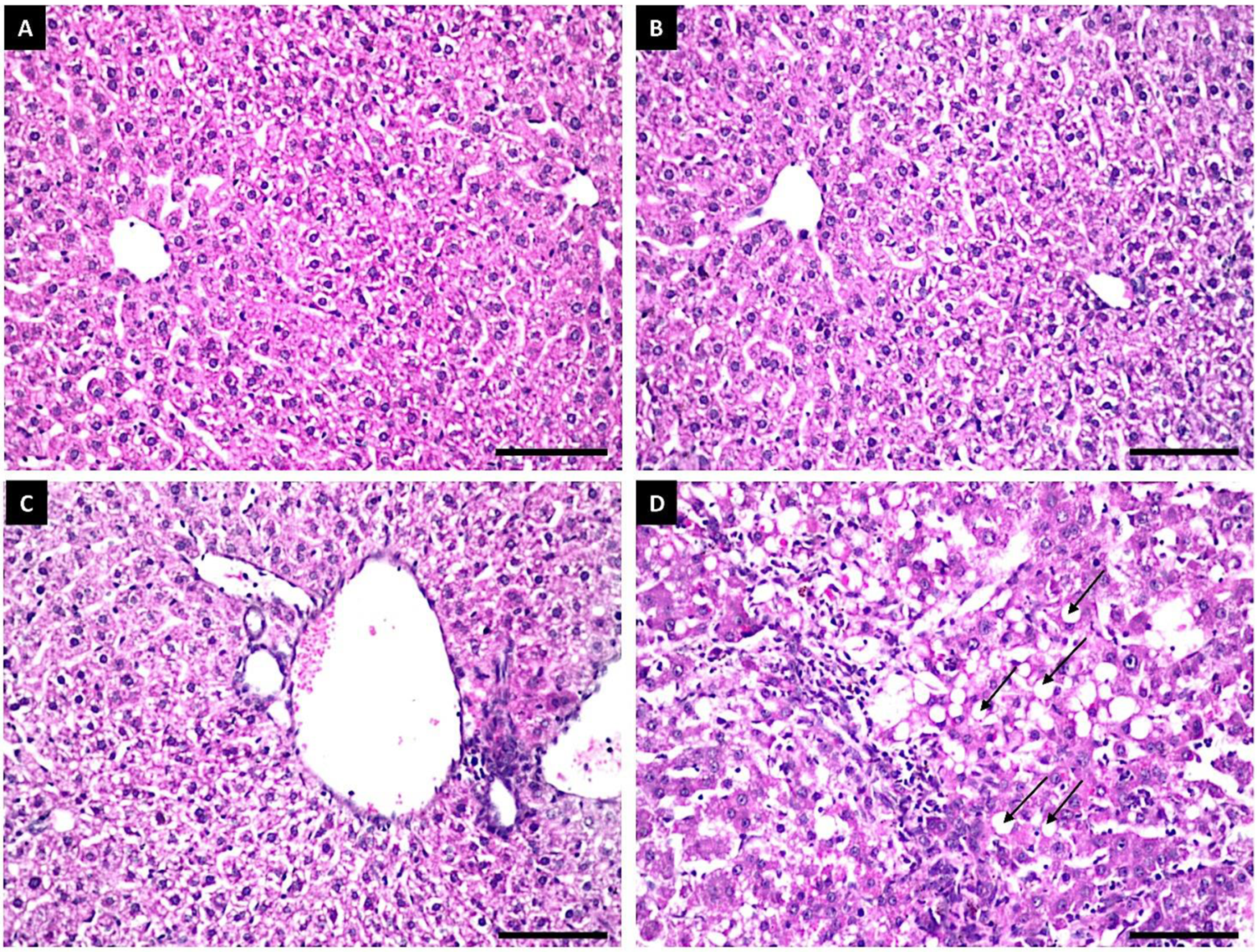 Polymers 14 03099 g006 Polymers 14 03099 g006