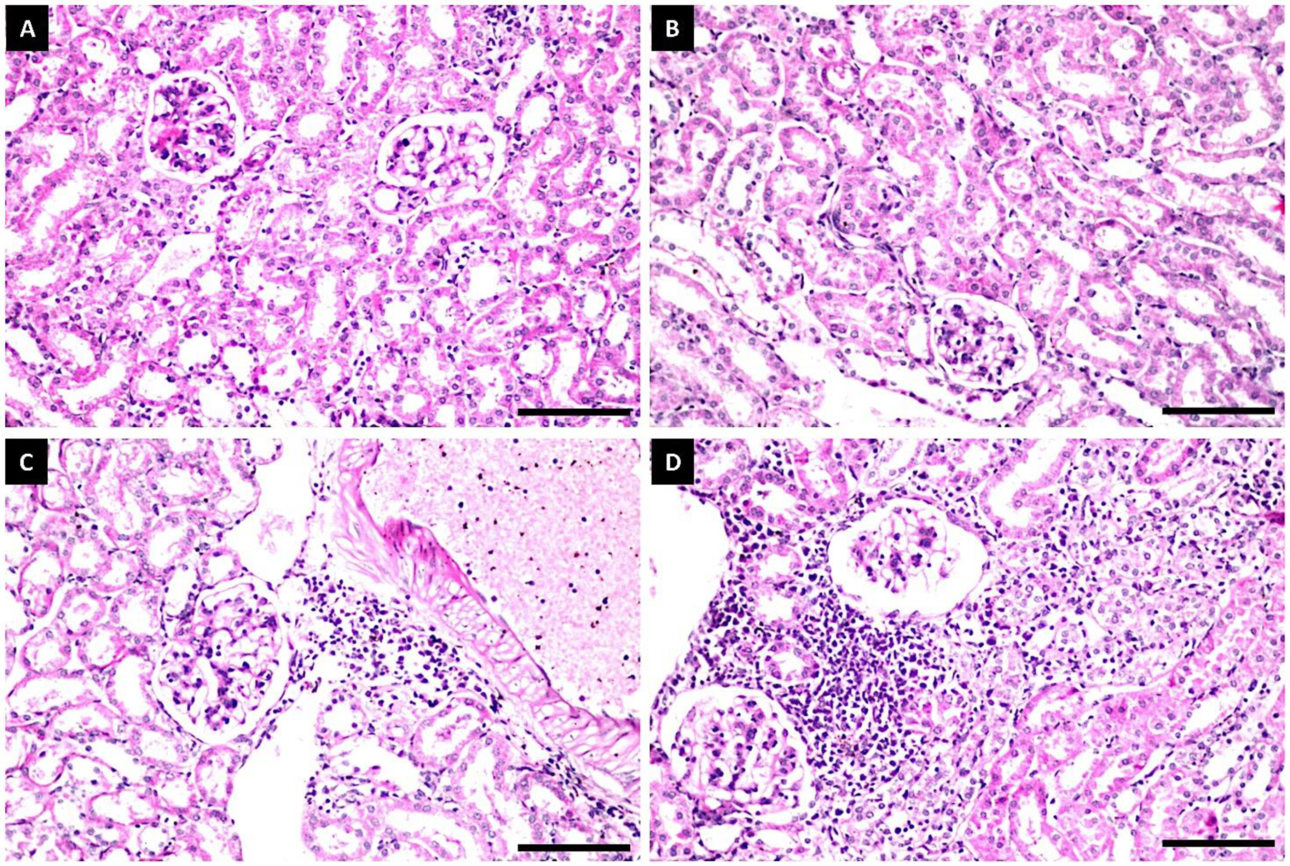 Polymers 14 03099 g007 Polymers 14 03099 g007