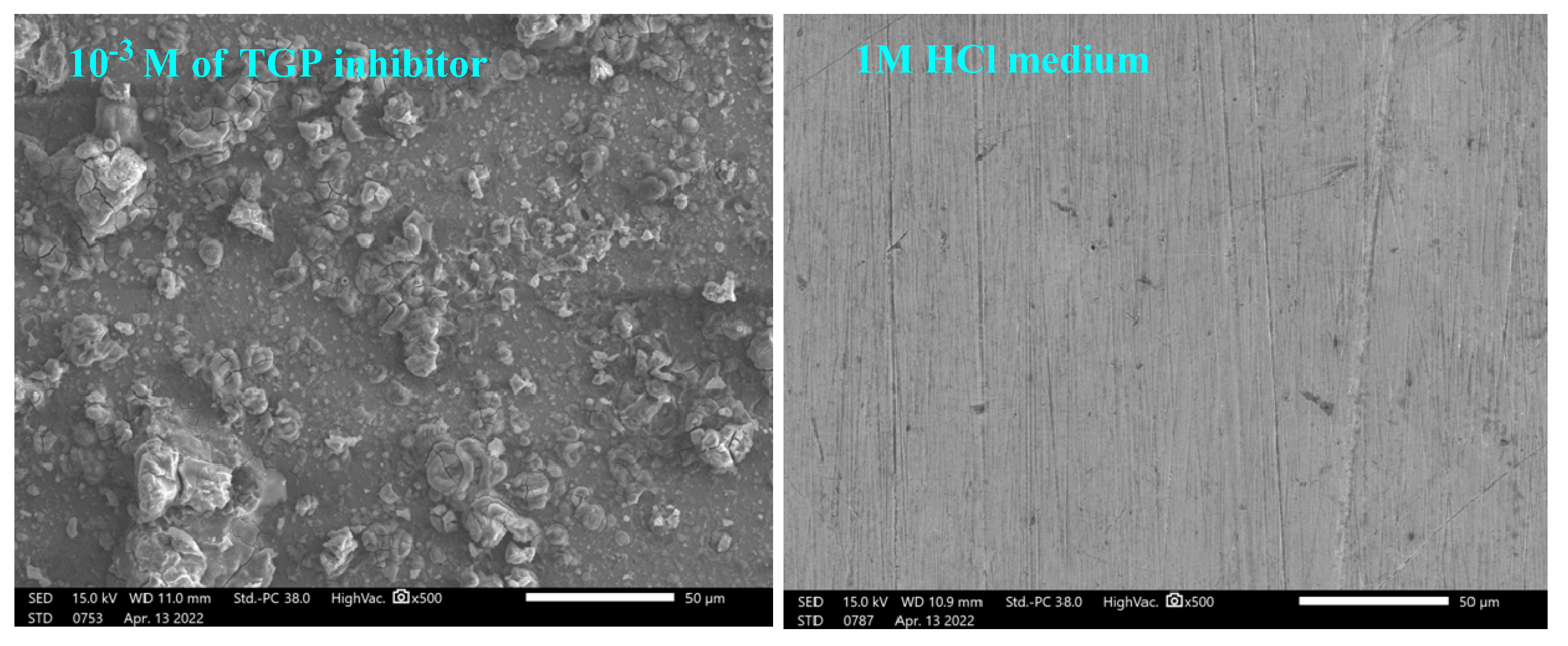 Polymers 14 03100 g005 550