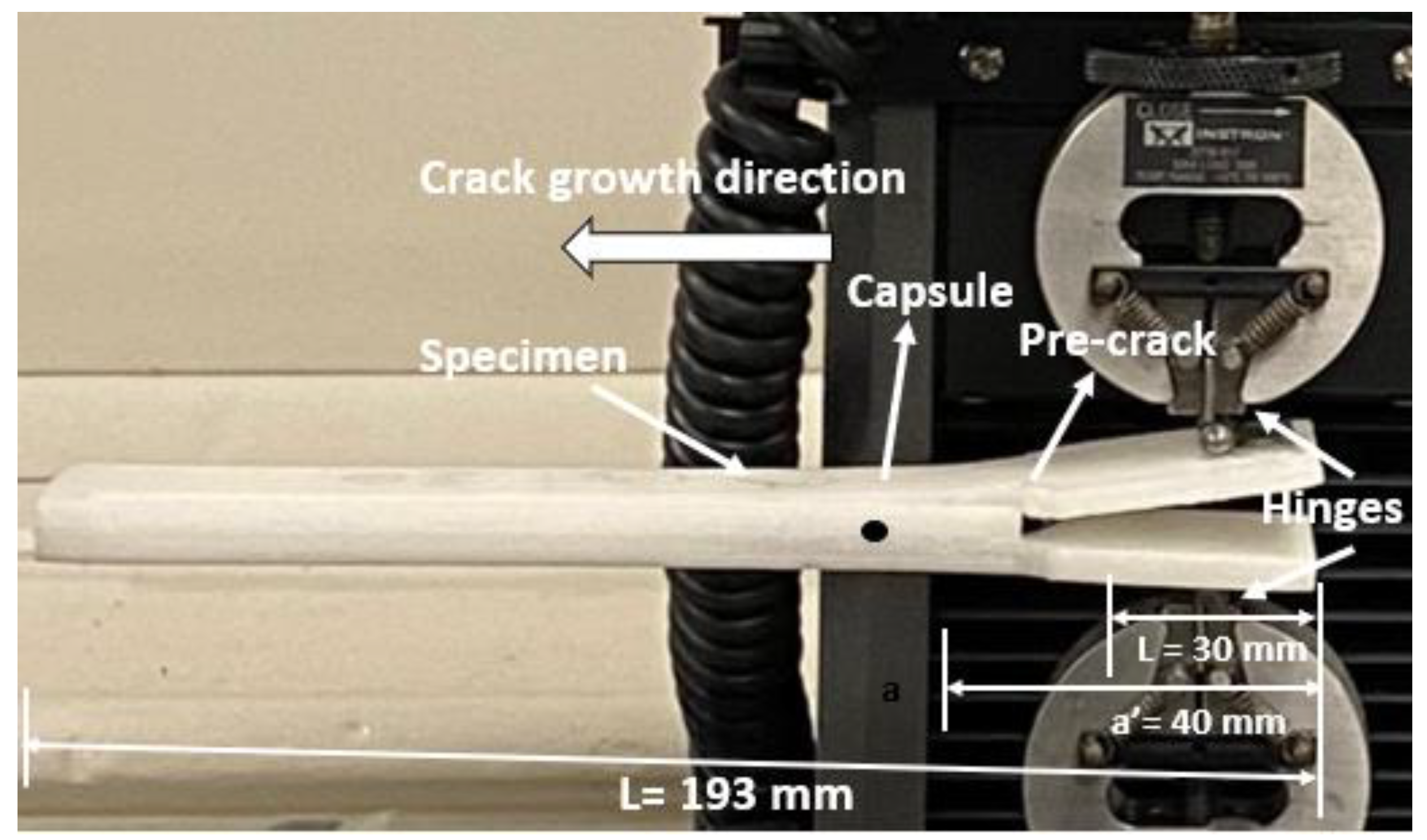 Polymers 14 03102 g009 550