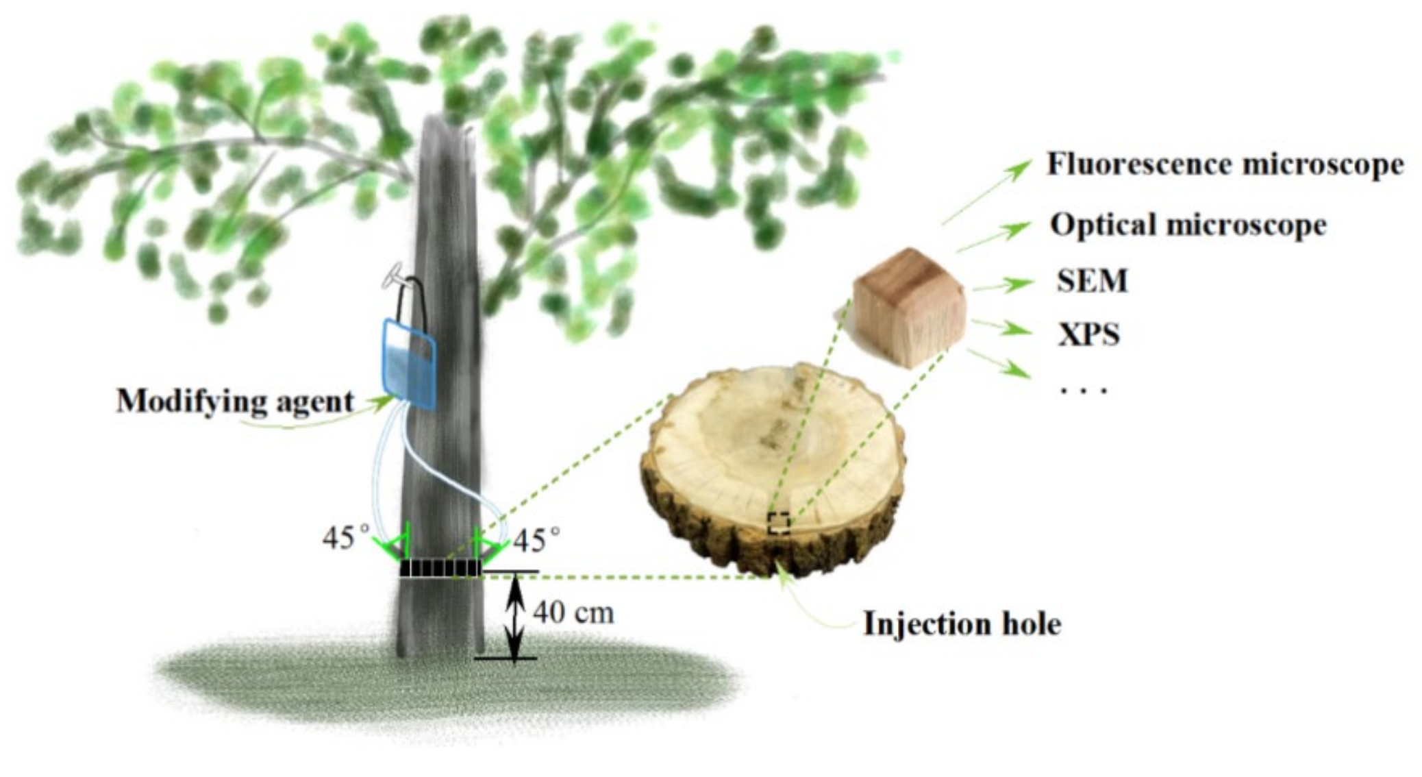 Polymers 14 03103 g001 550
