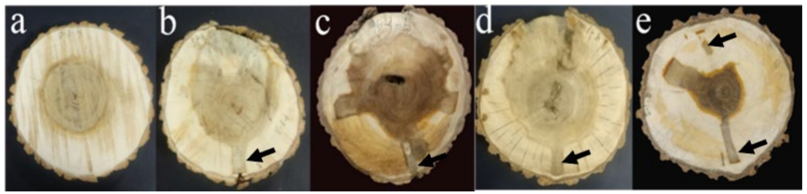 Polymers 14 03103 g002 550