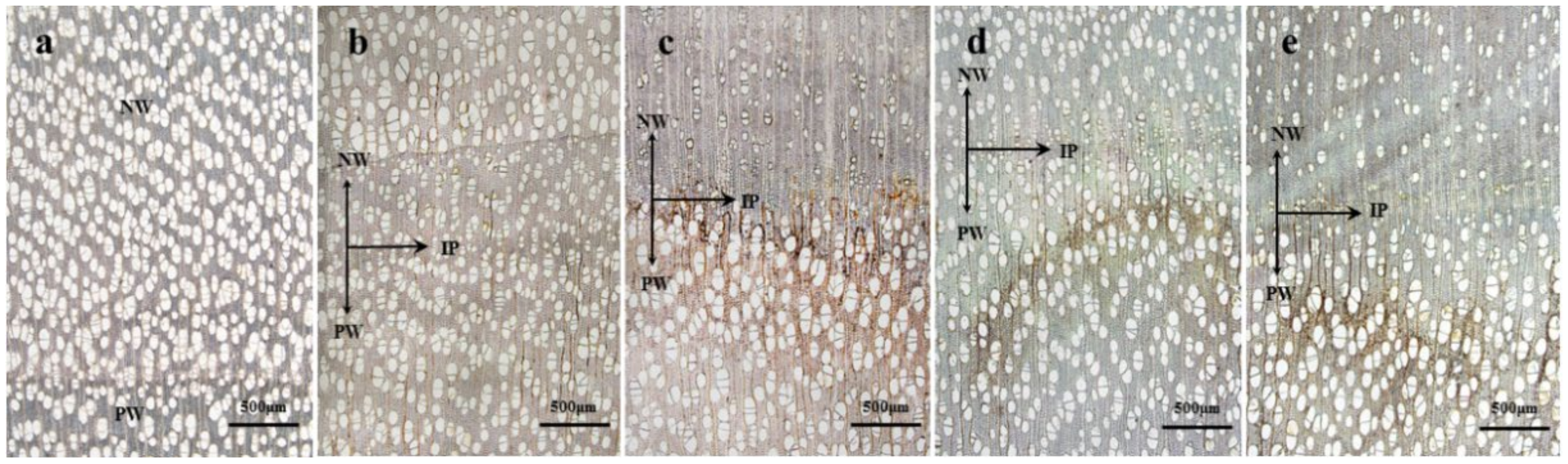 Polymers 14 03103 g003 550