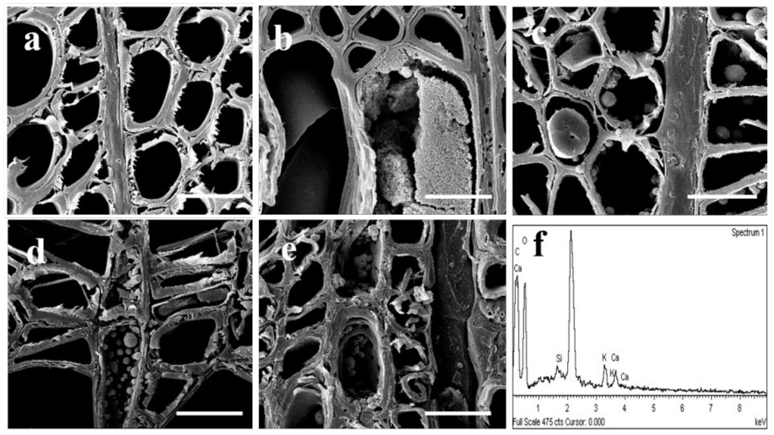 Polymers 14 03103 g005 550