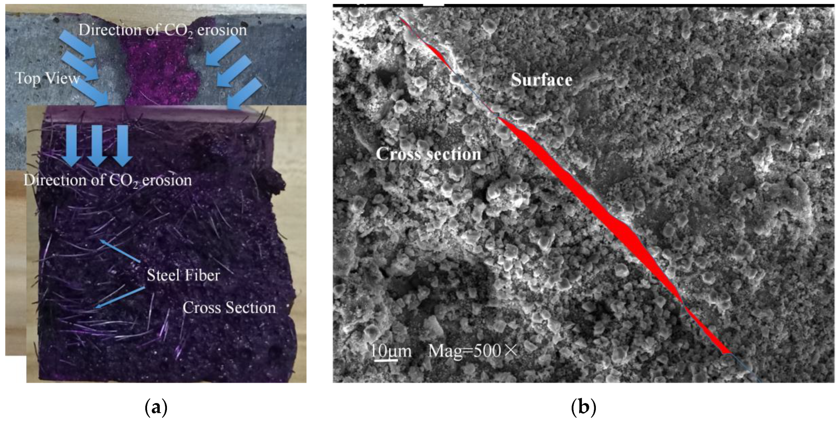 Polymers 14 03105 g007a