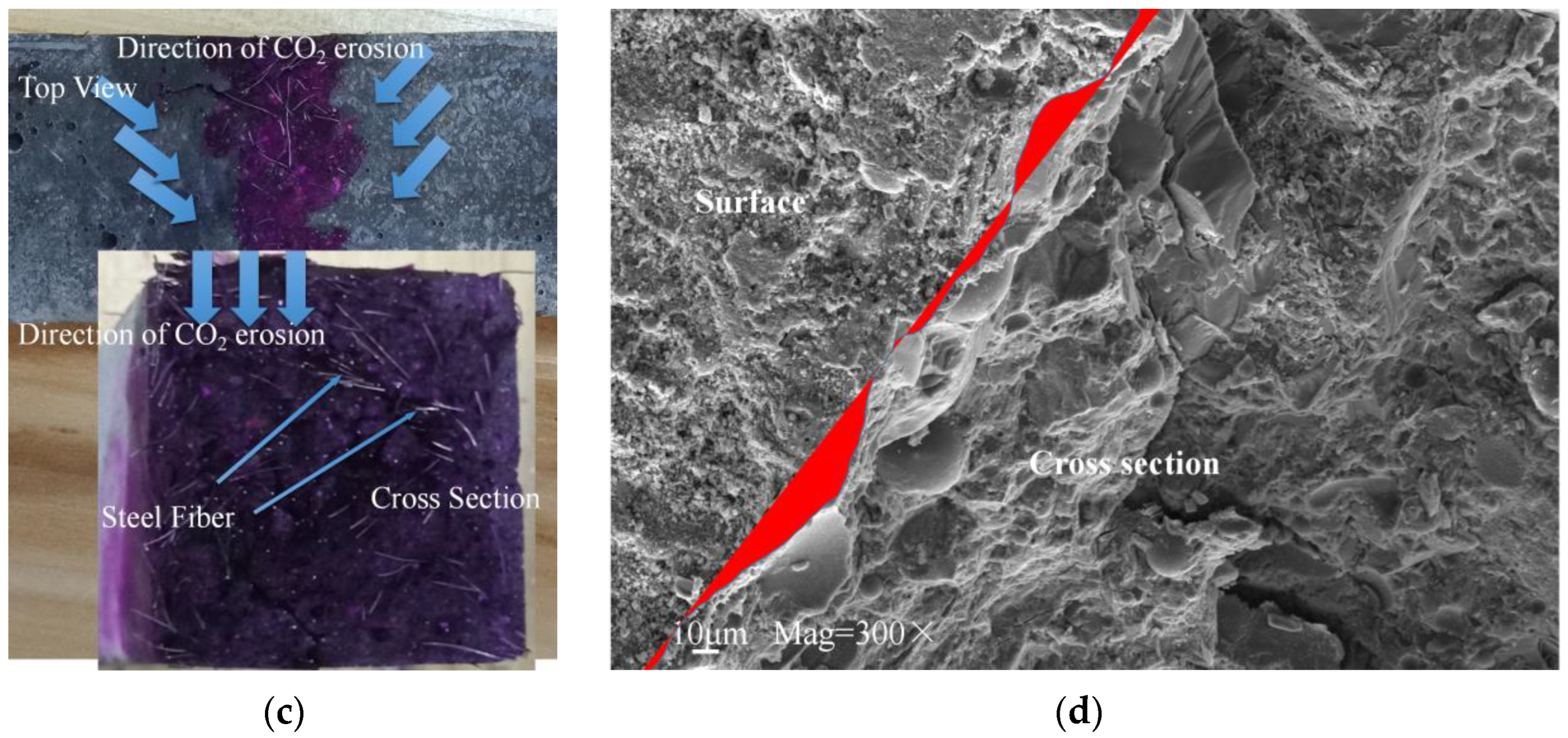 Polymers 14 03105 g007b