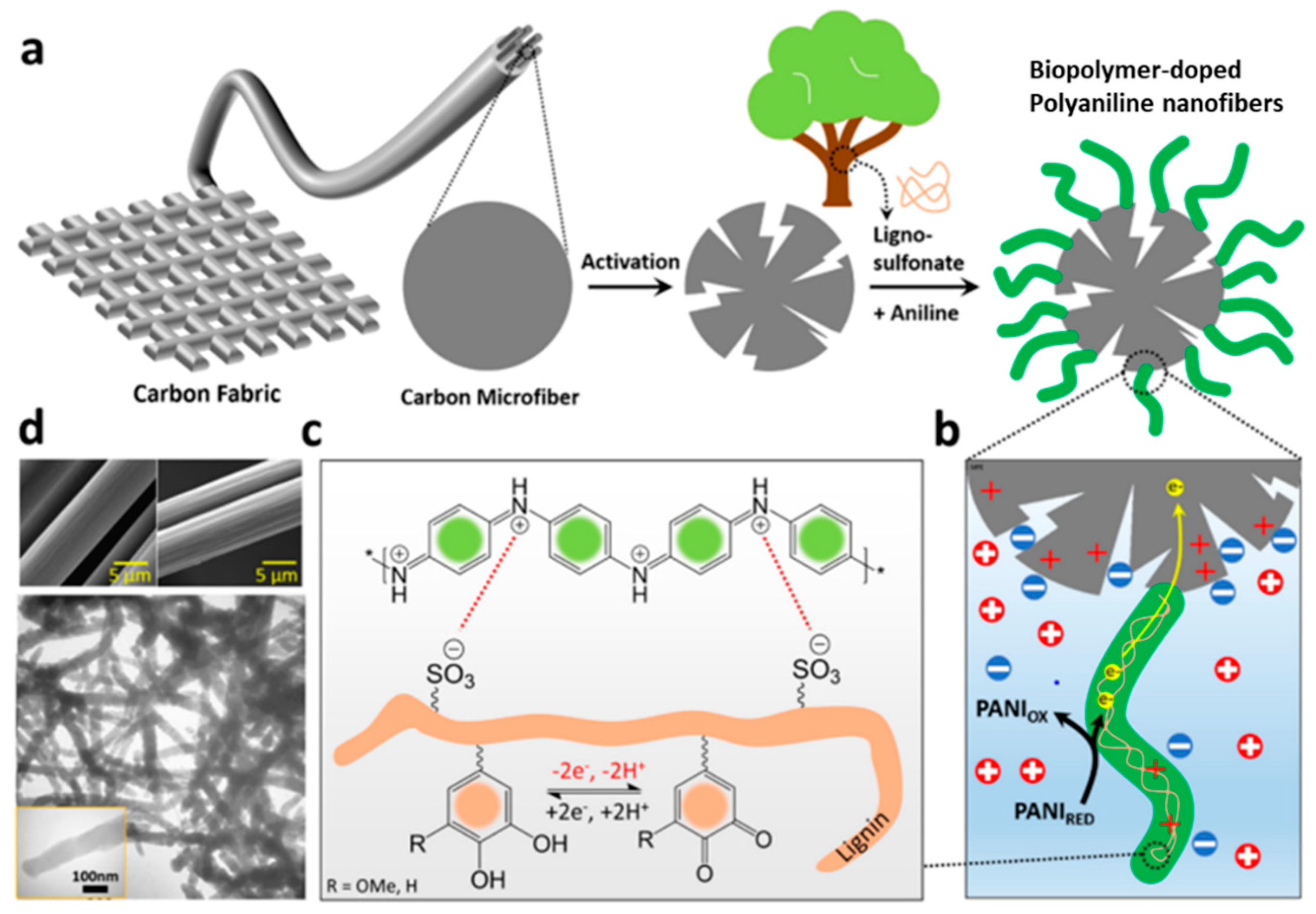 Polymers 14 03106 g010 550