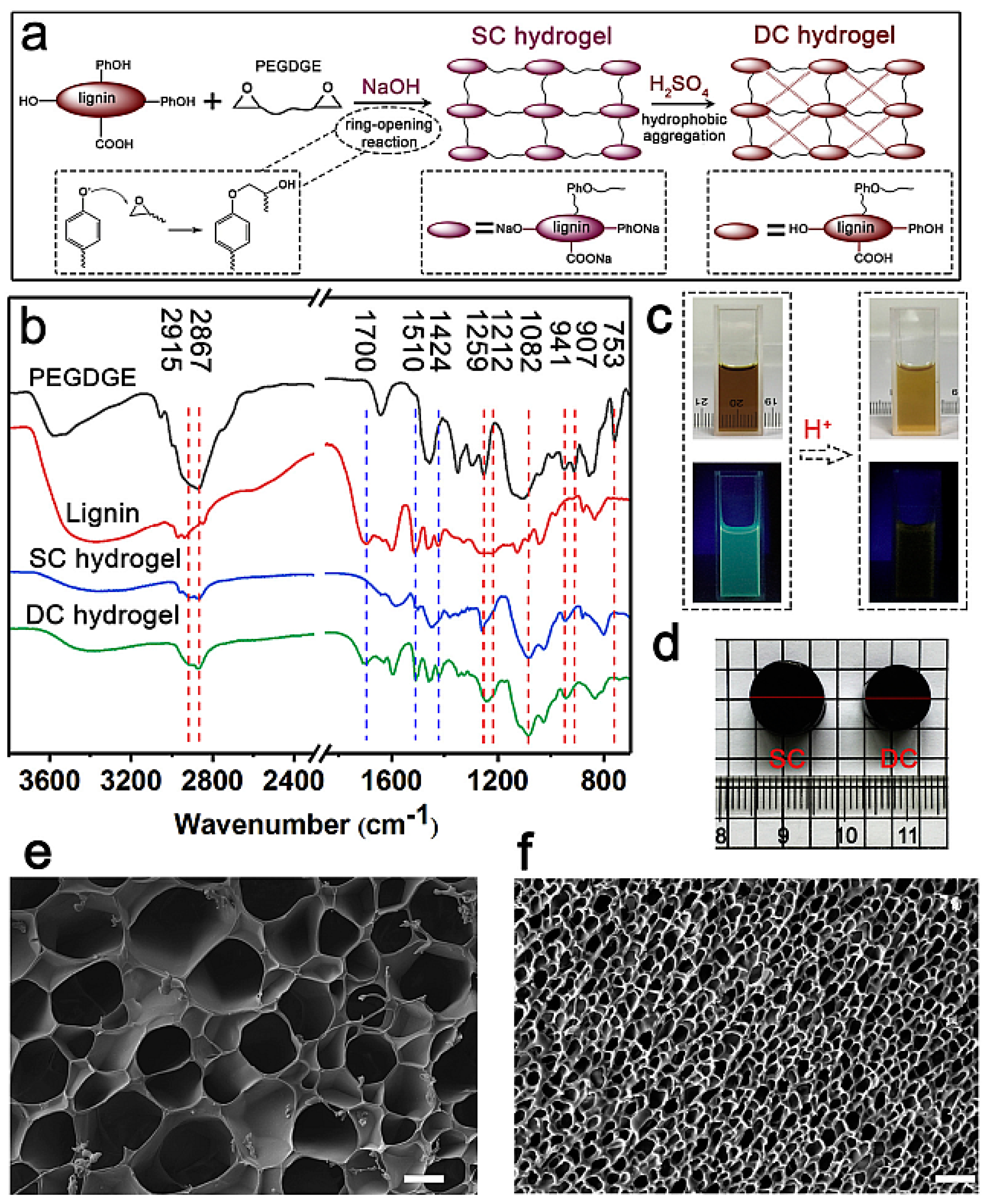 Polymers 14 03106 g011 550