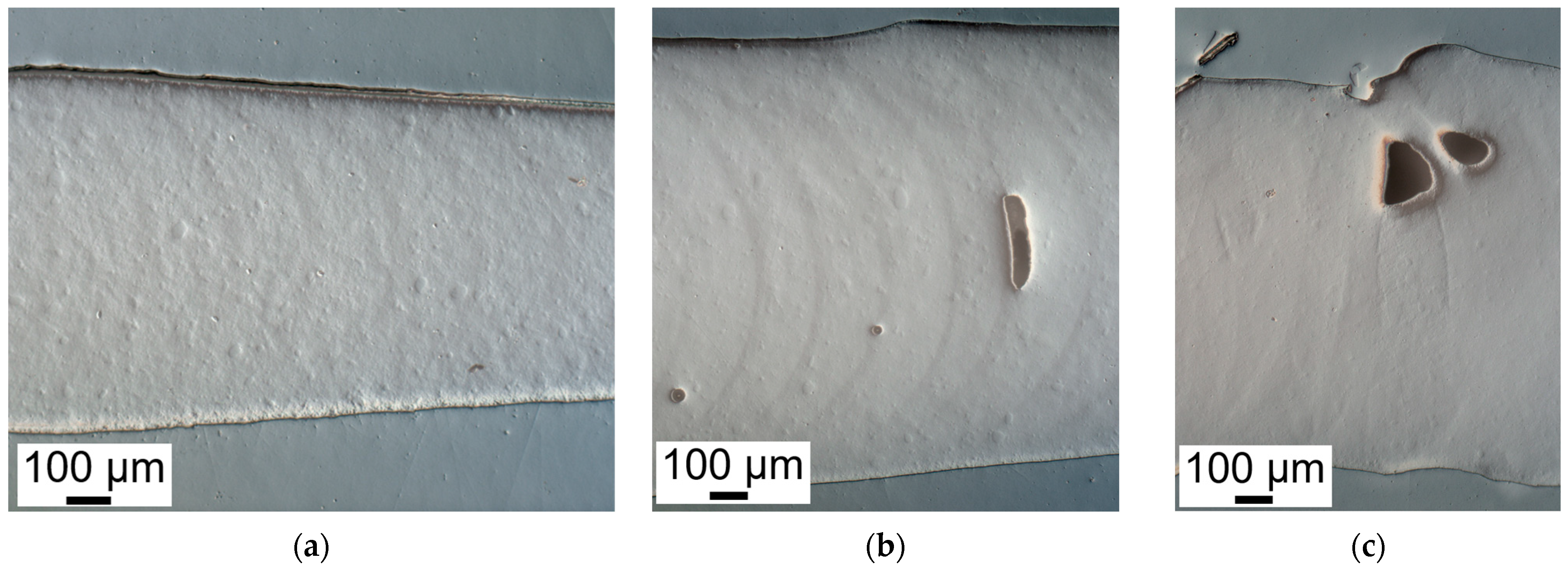 Polymers 14 03107 g008