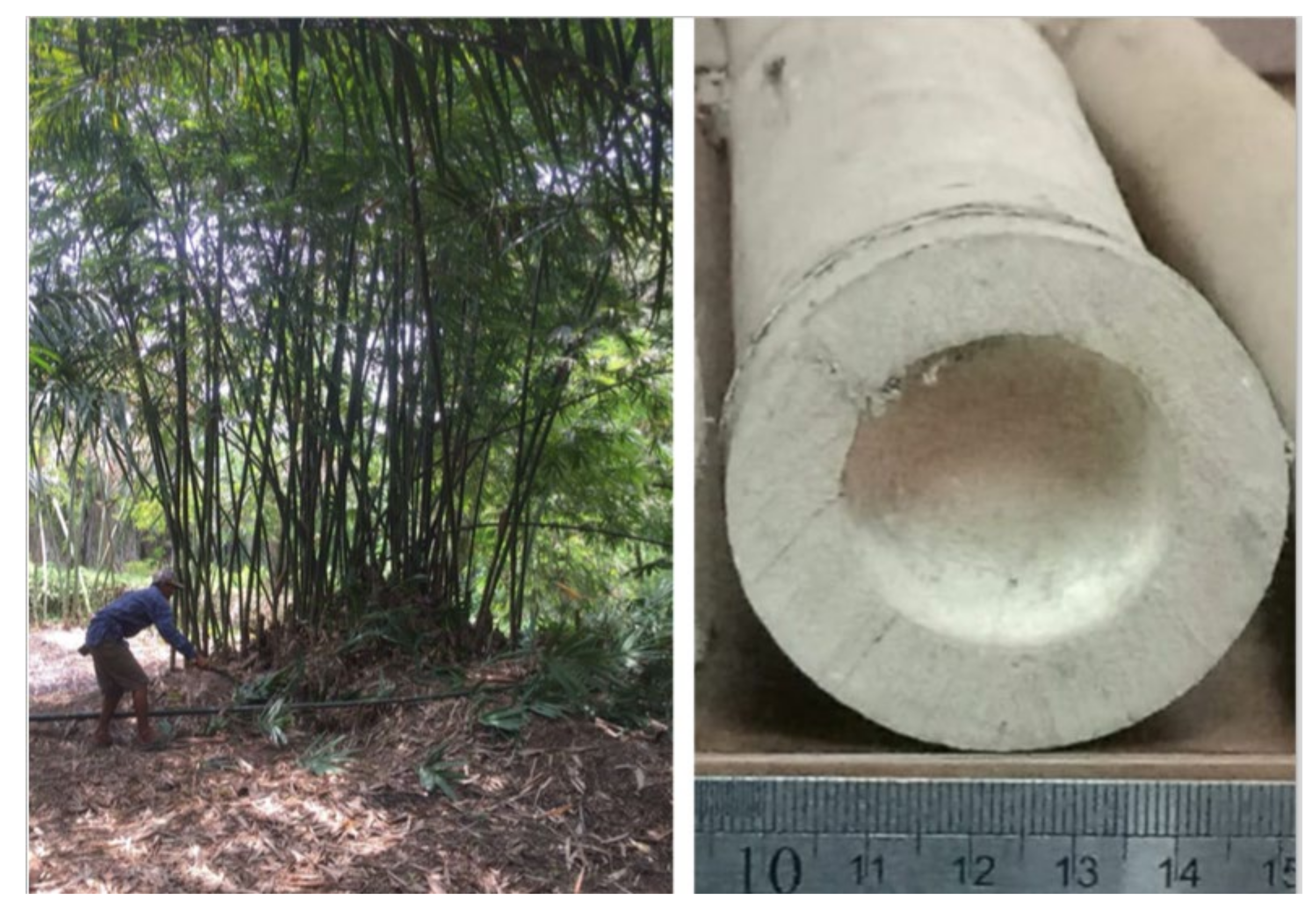 Polymers 14 03111 g001 550