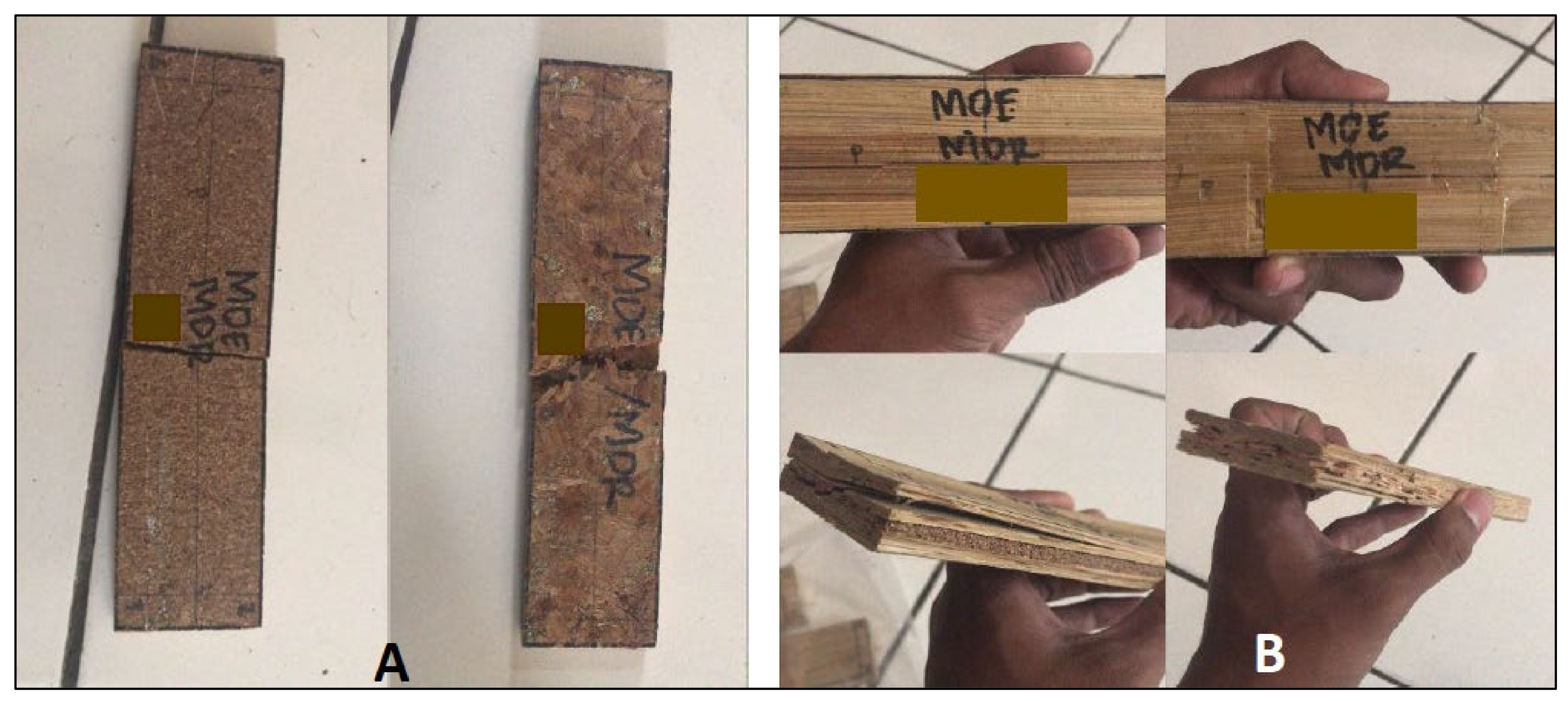 Polymers 14 03111 g015 550