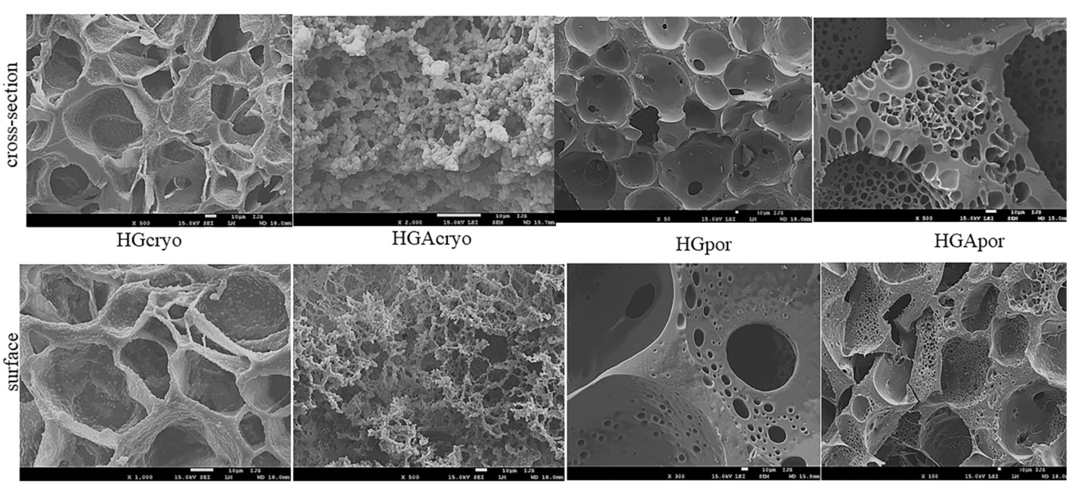 Polymers 14 03112 g002 Polymers 14 03112 g002