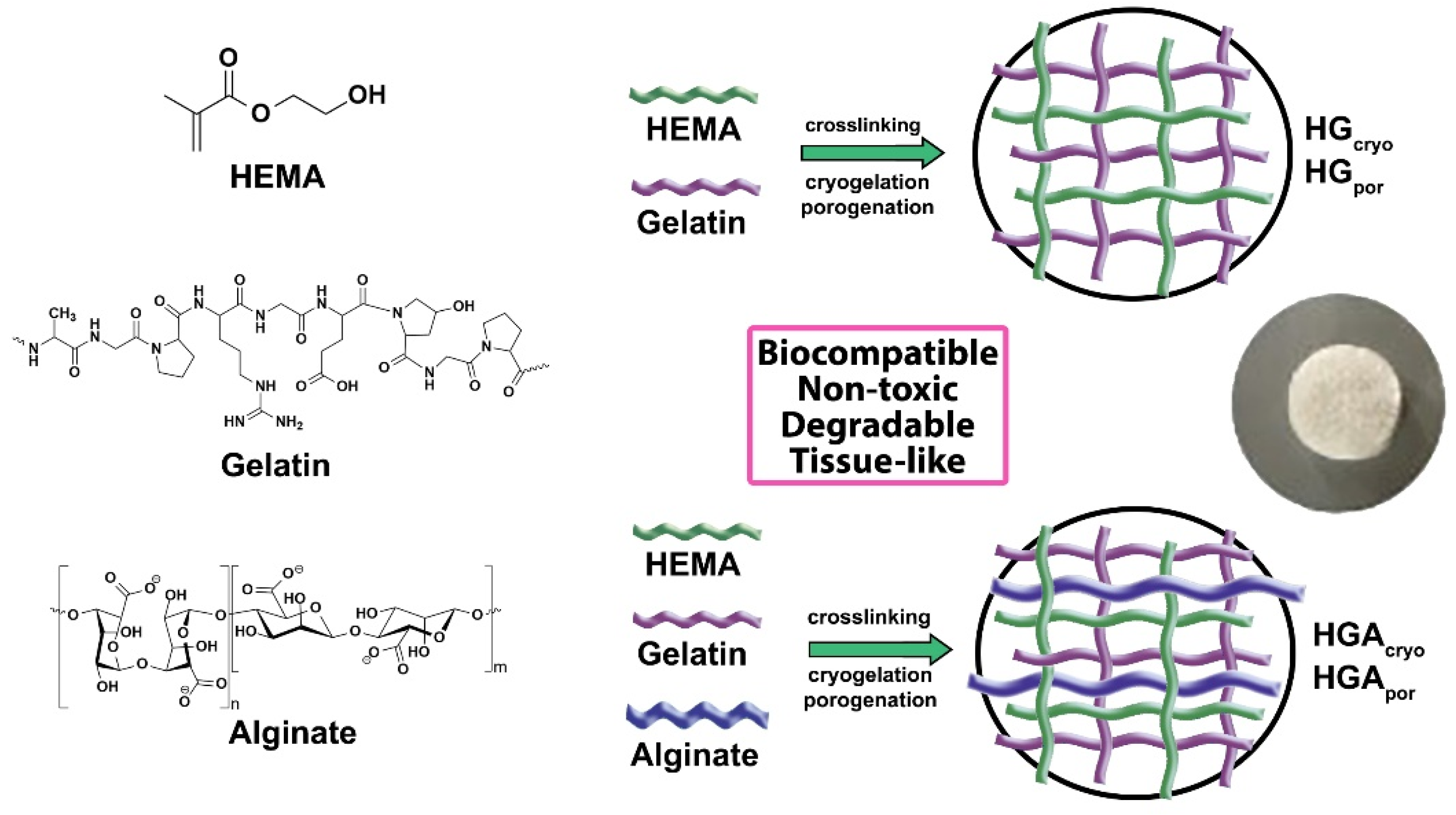 Polymers 14 03112 sch001 Polymers 14 03112 sch001