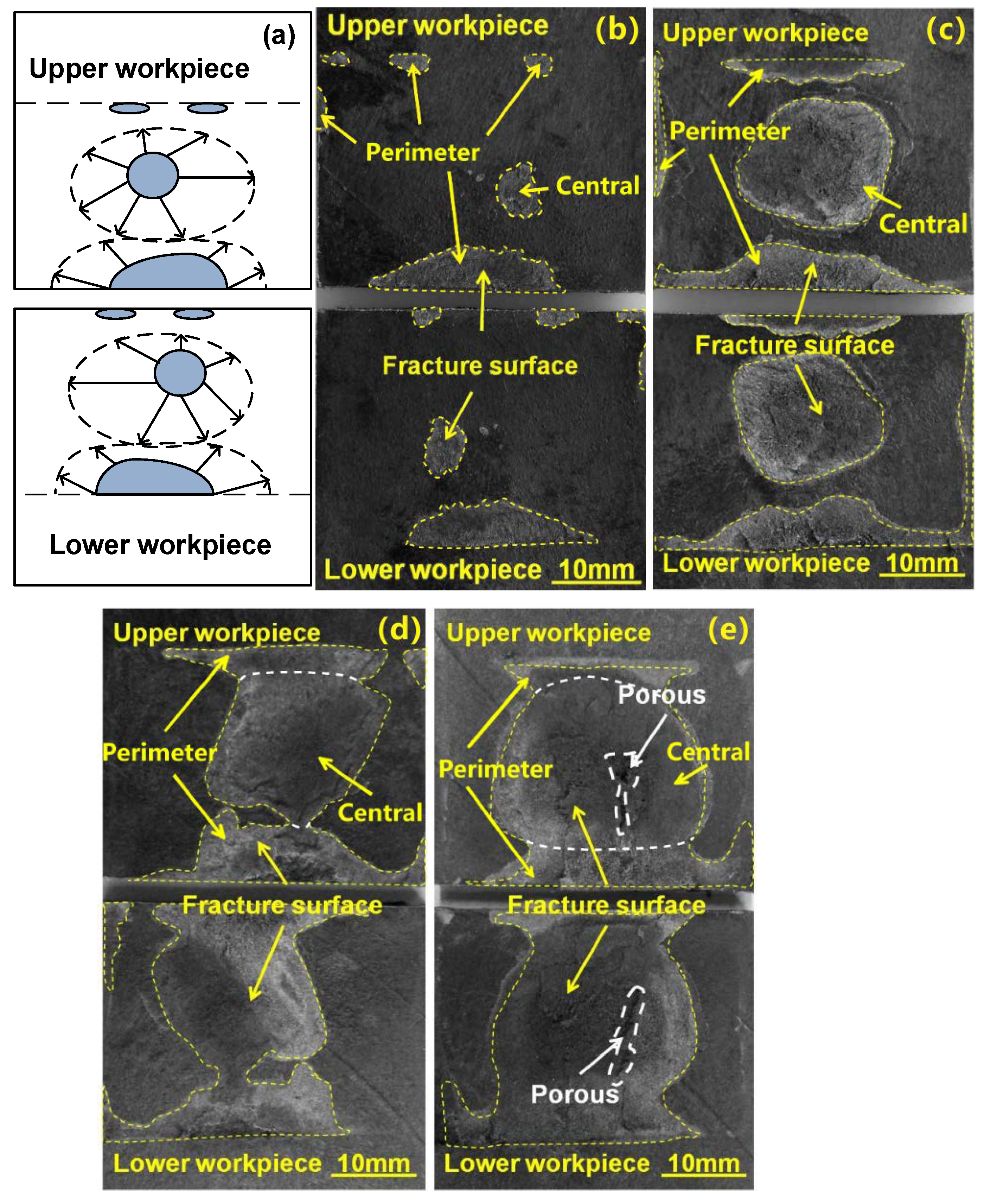 Polymers 14 03115 g008