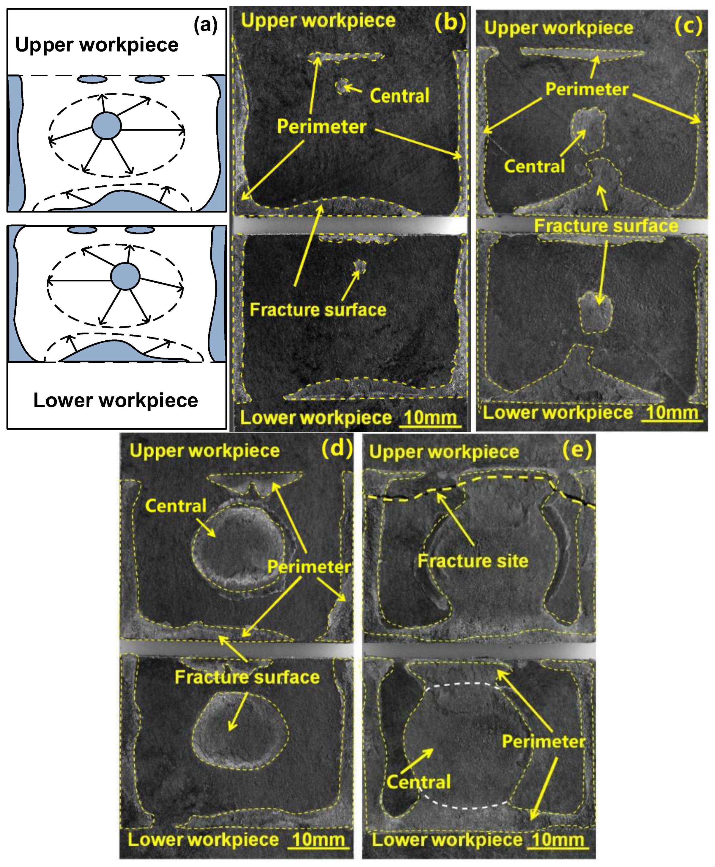 Polymers 14 03115 g009