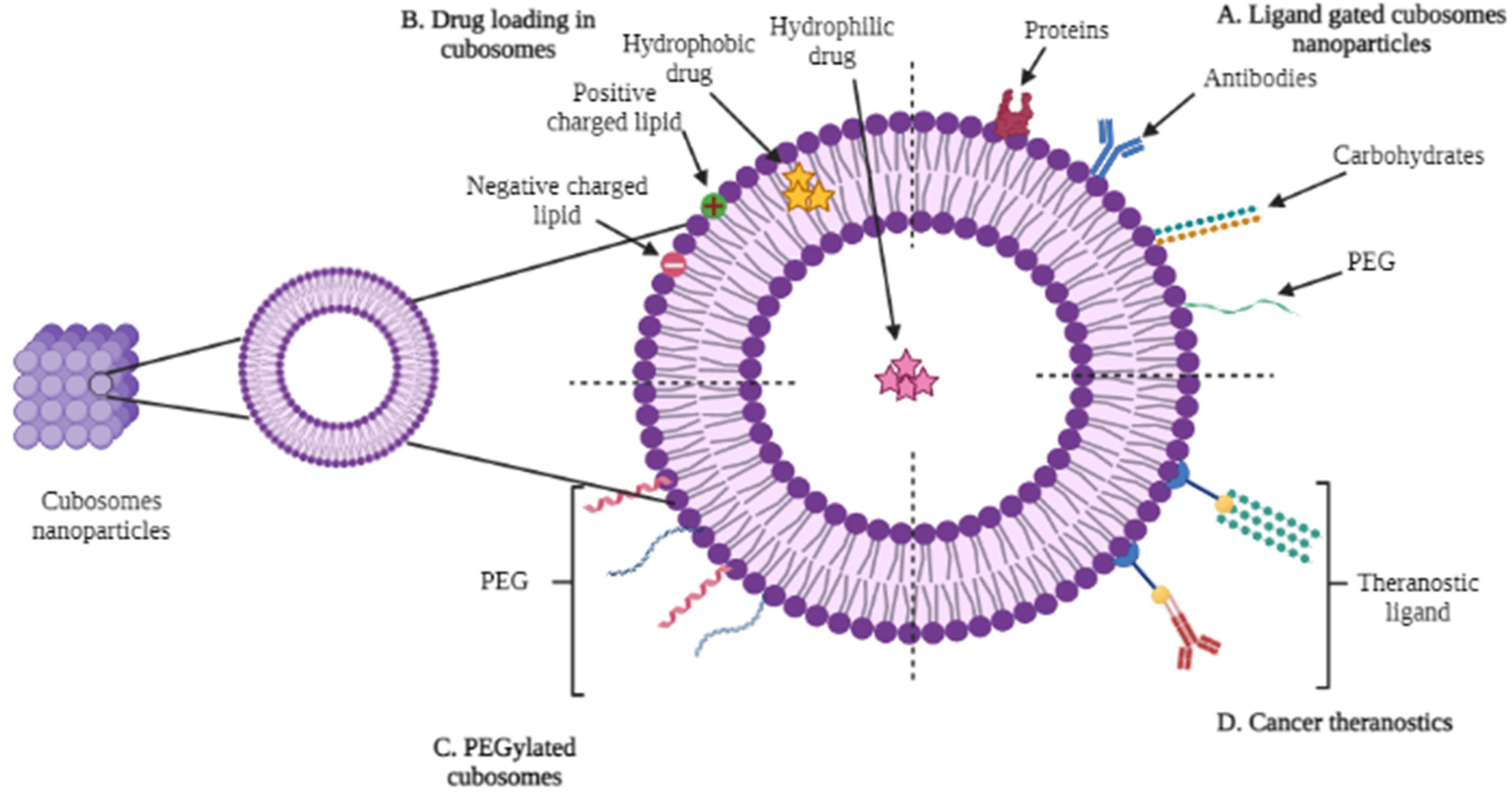 Polymers 14 03118 g001 550