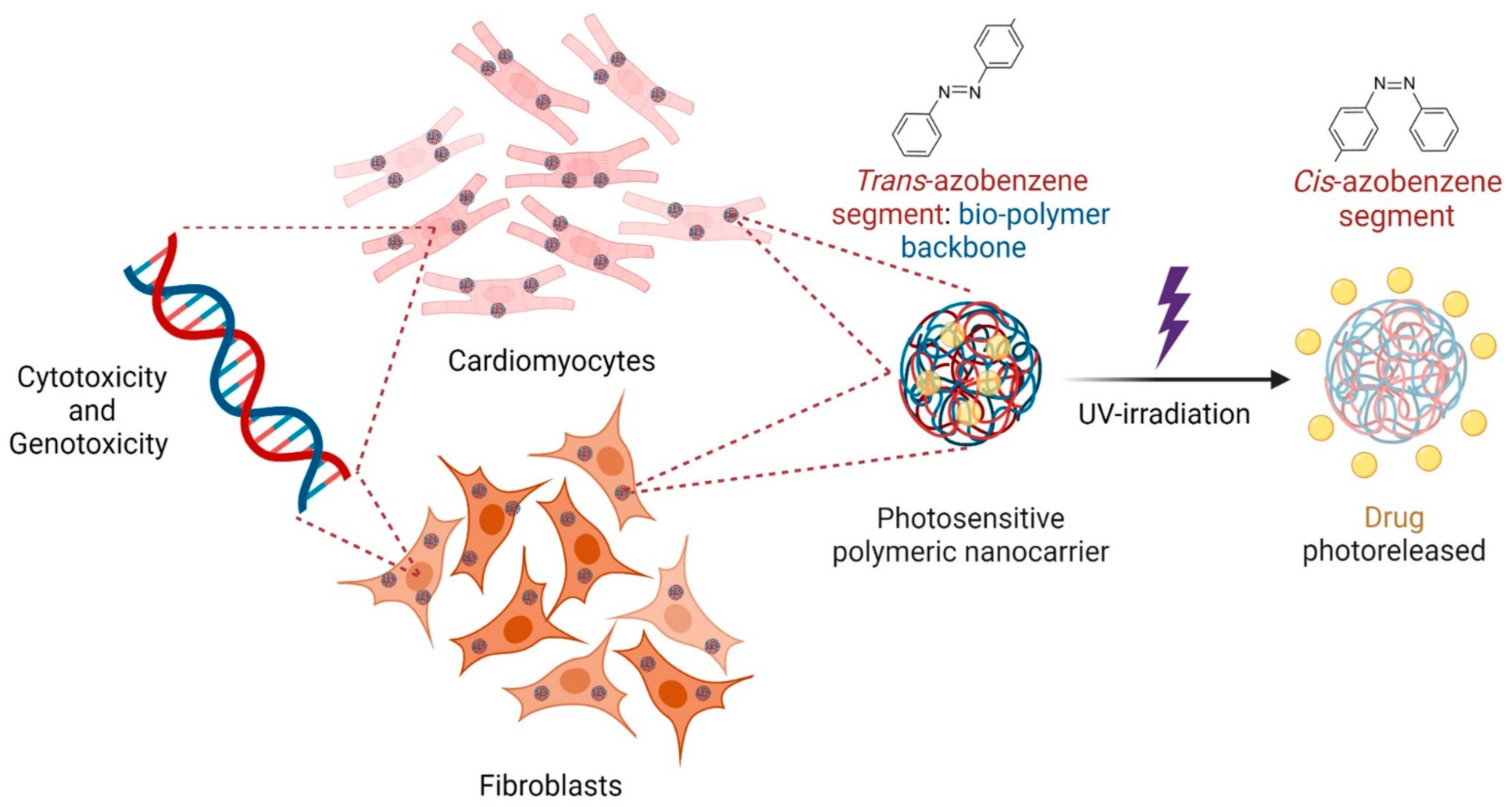 Polymers 14 03119 g001 550