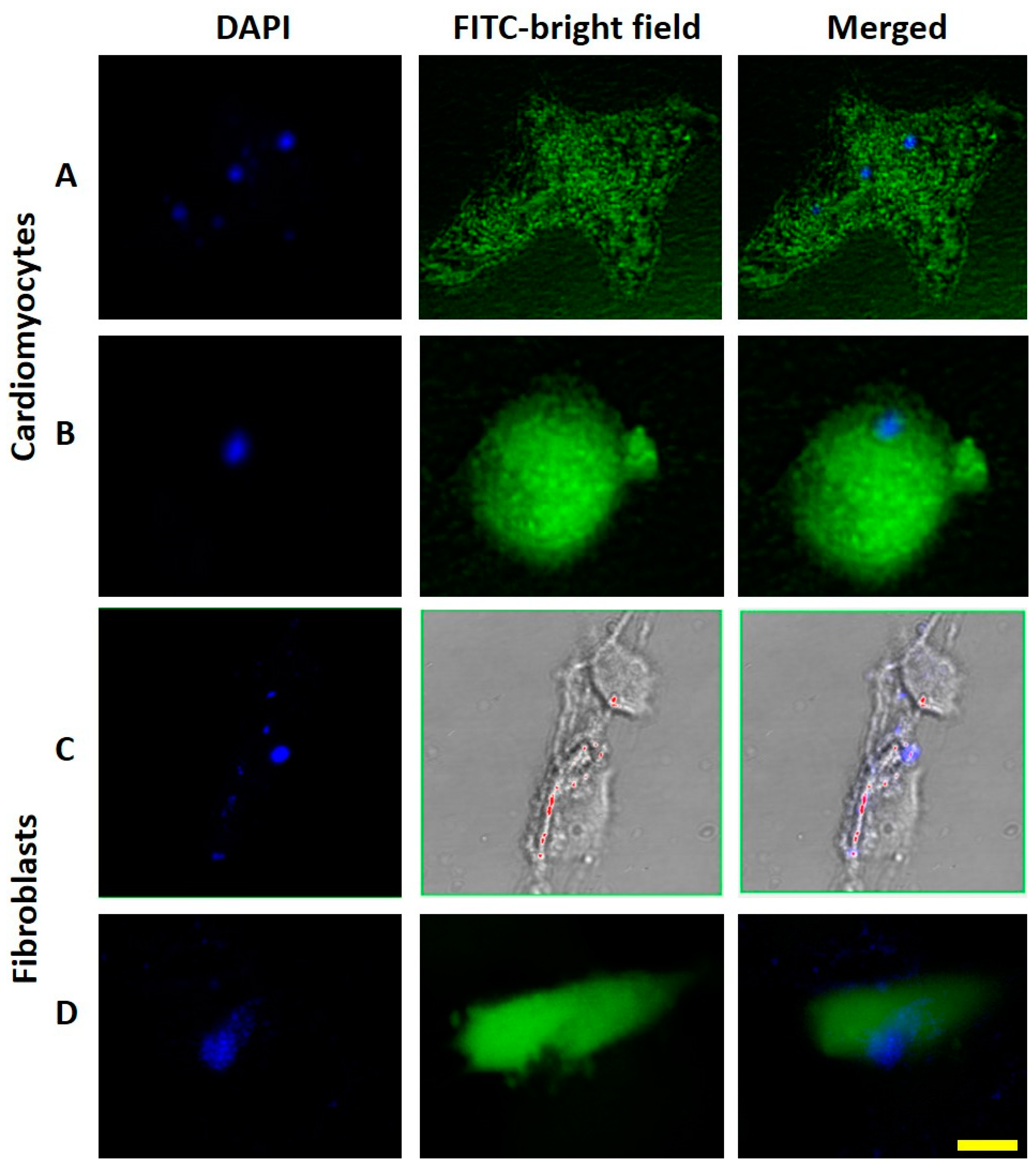 Polymers 14 03119 g003 550