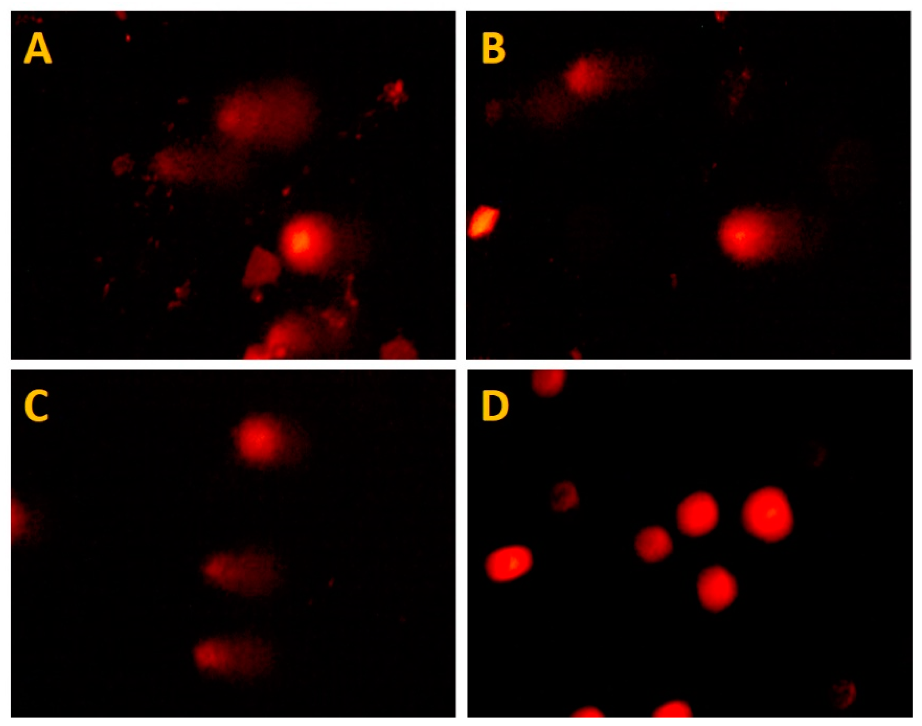Polymers 14 03119 g005 550