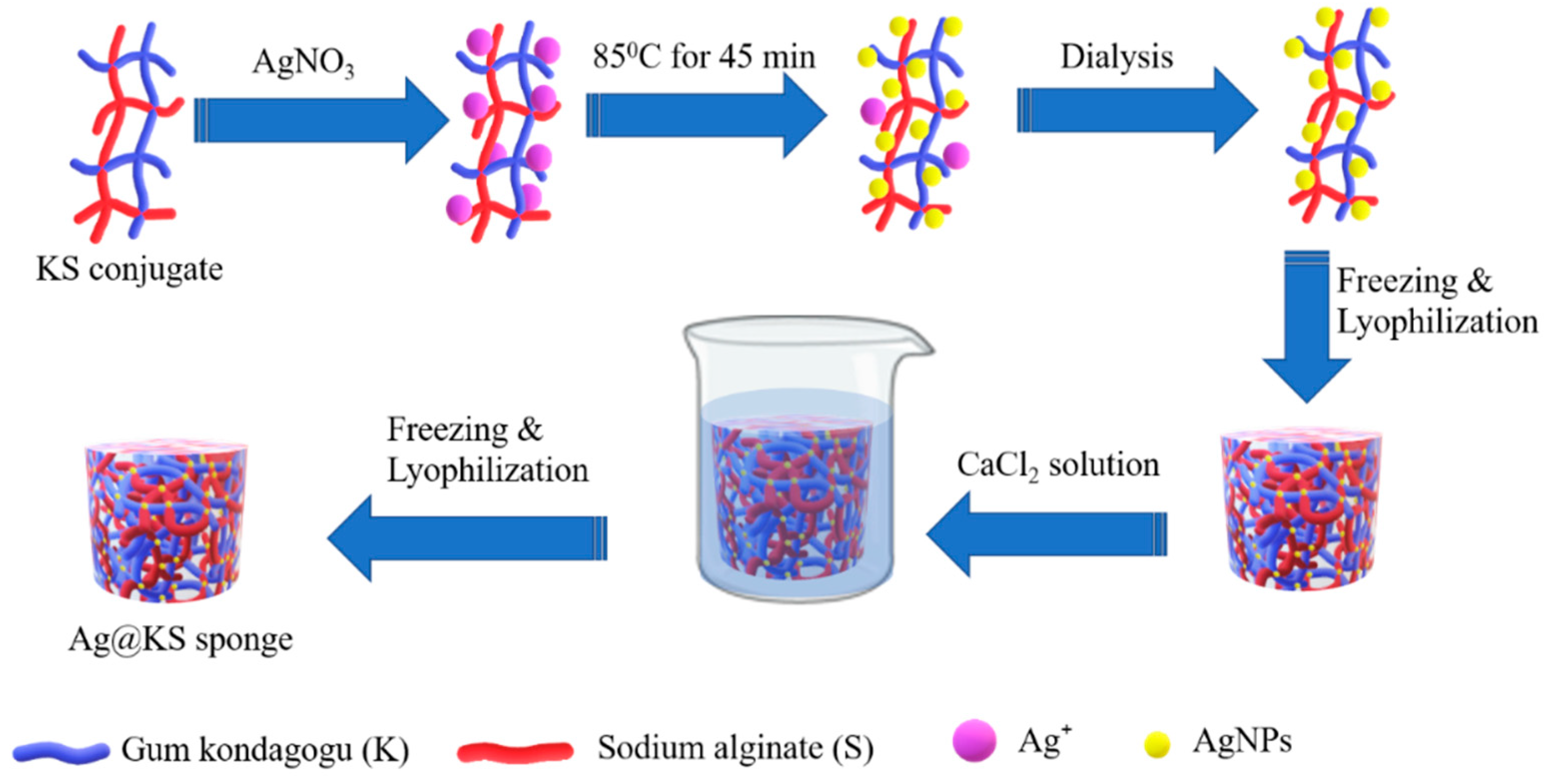 Polymers 14 03120 g001 550
