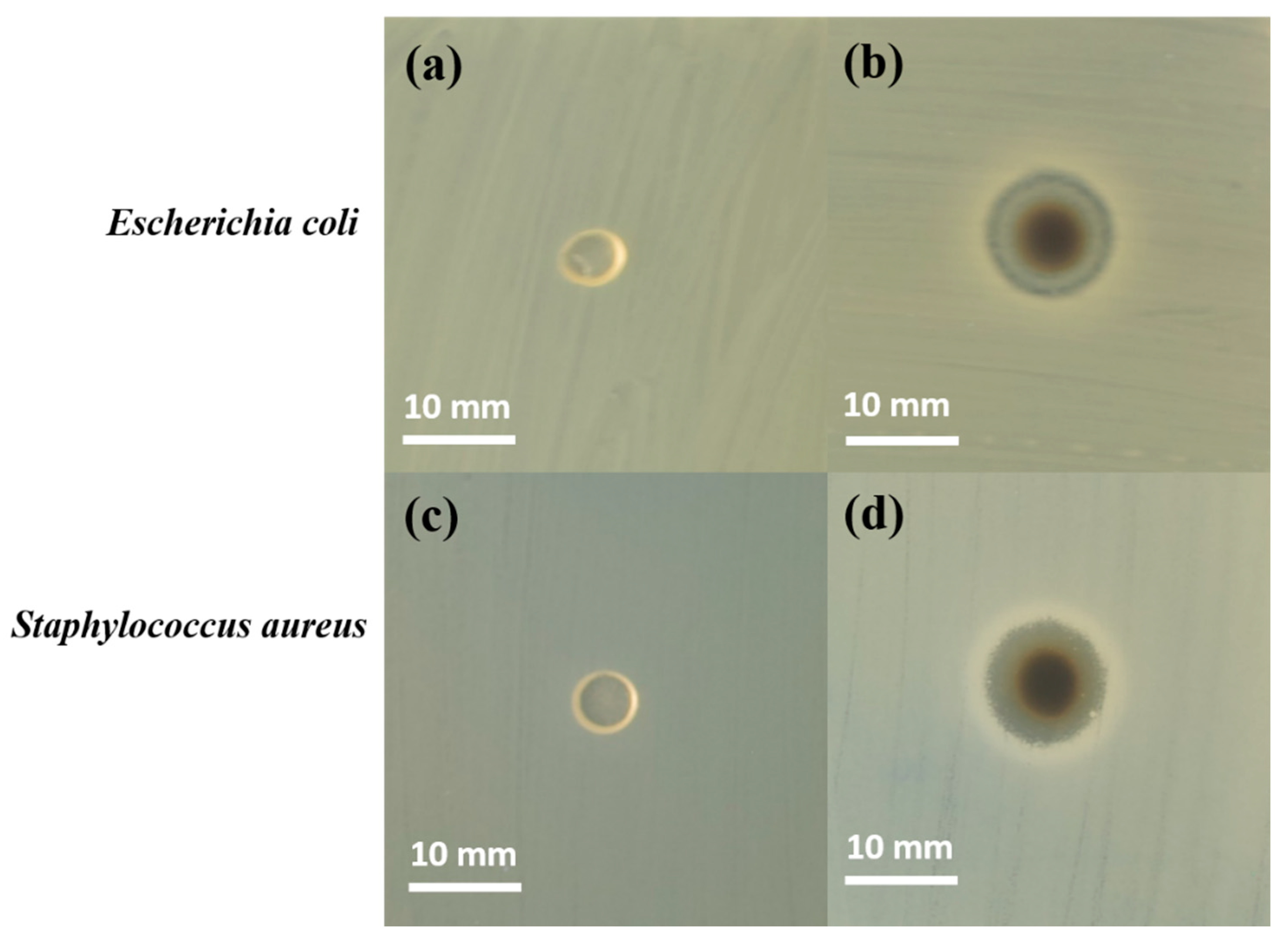 Polymers 14 03120 g008 550