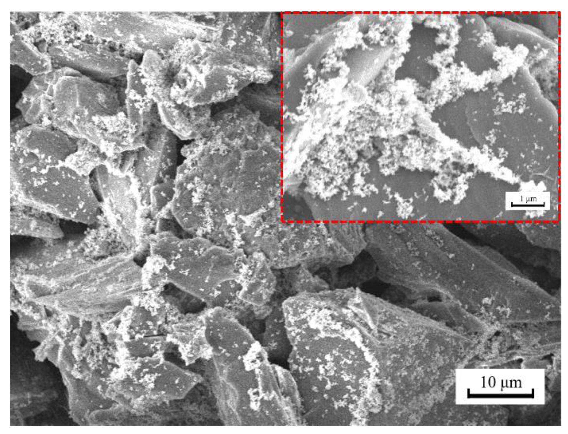 Polymers 14 03124 g005