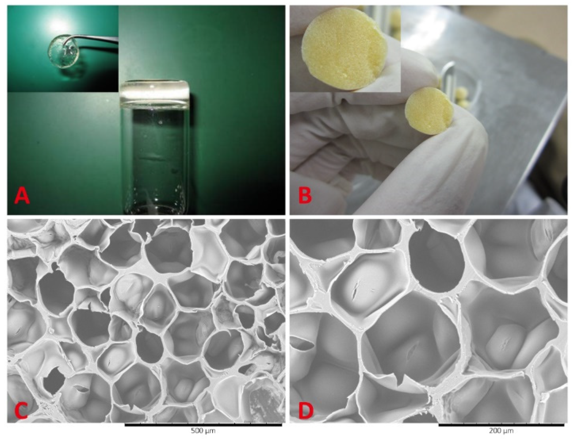 Polymers 14 03135 g016